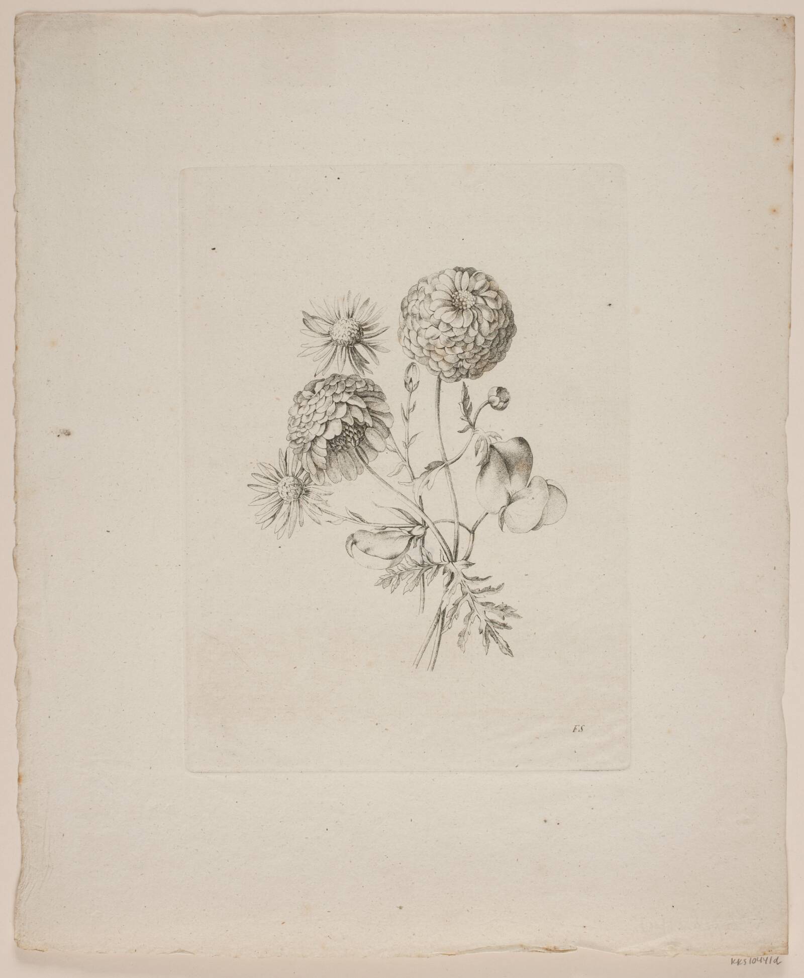 Blomstermotiv, Frederik Schepelern, 1796-1883