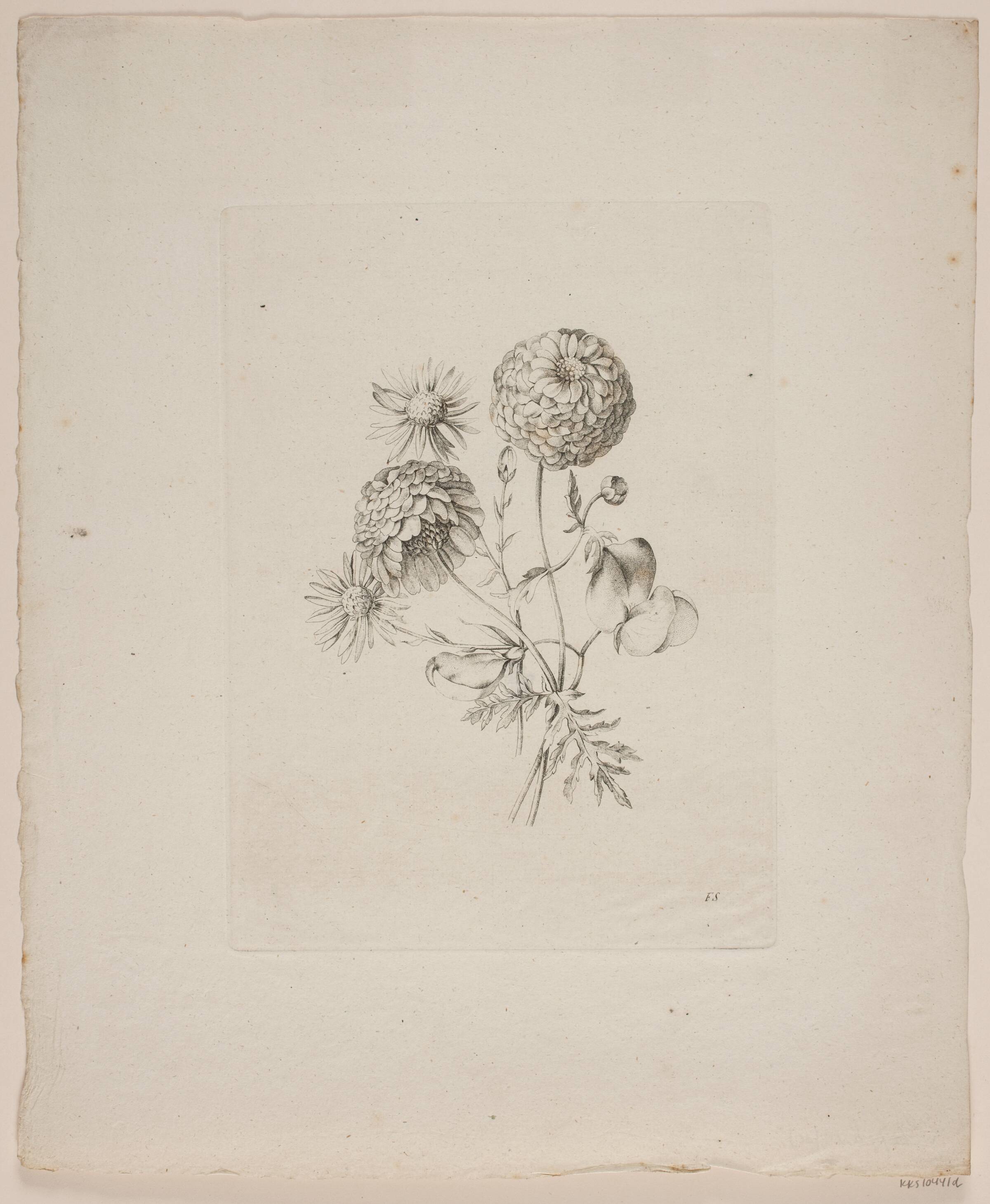 Blomstermotiv, Frederik Schepelern, 1796-1883