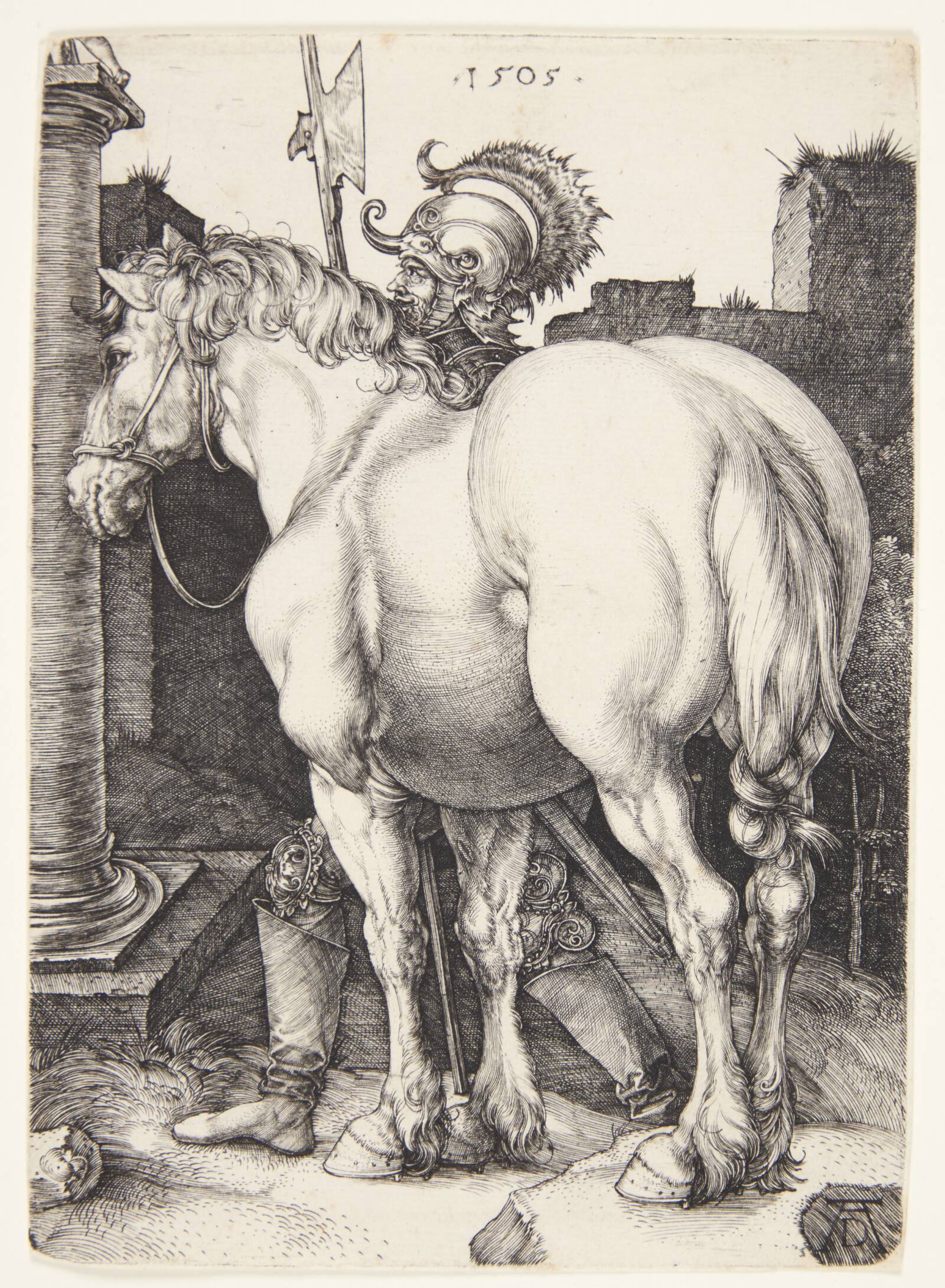 Den store hest, Albrecht Dürer, 1505