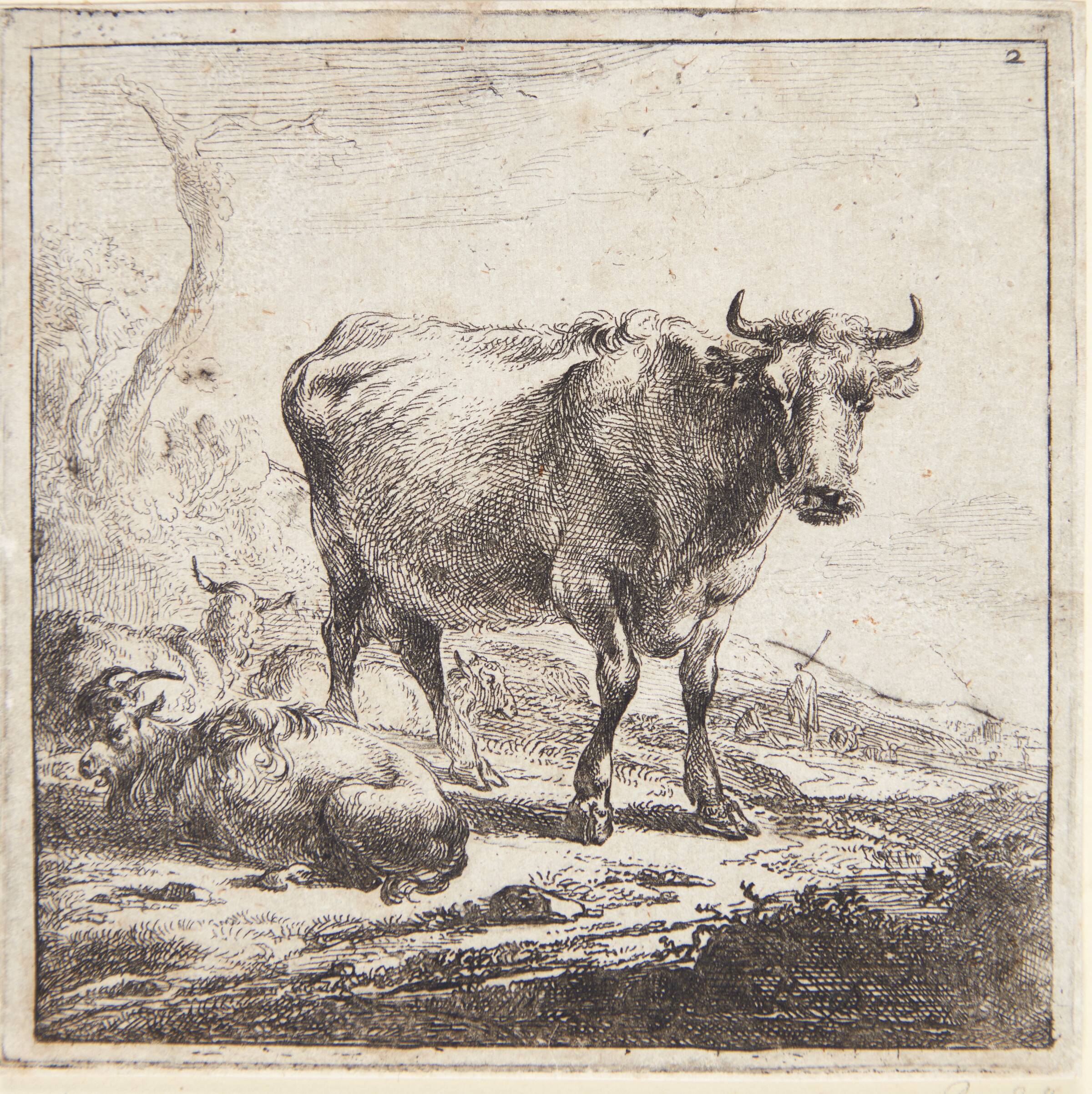 Stående ko og liggende geder og får, Nicolaes Berchem, 1644