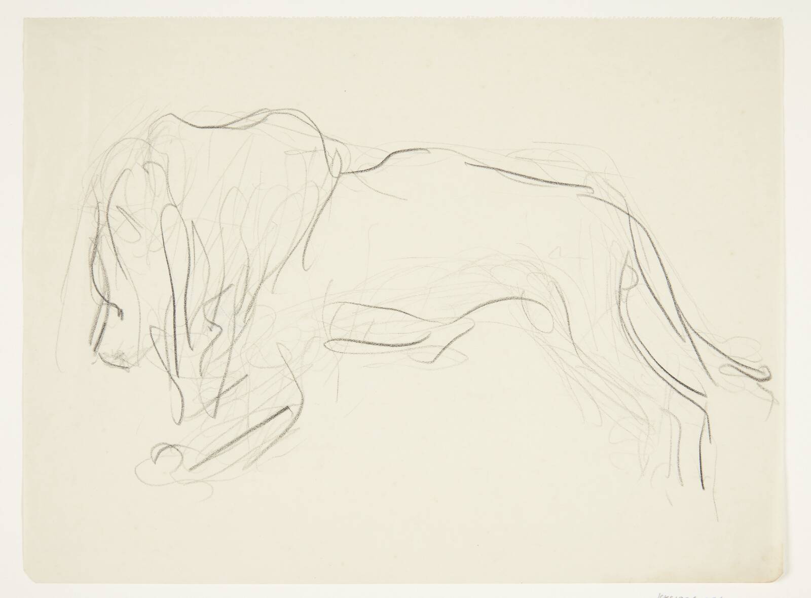 Stående løve i profil, Olivia Holm-Møller, 1890-1946