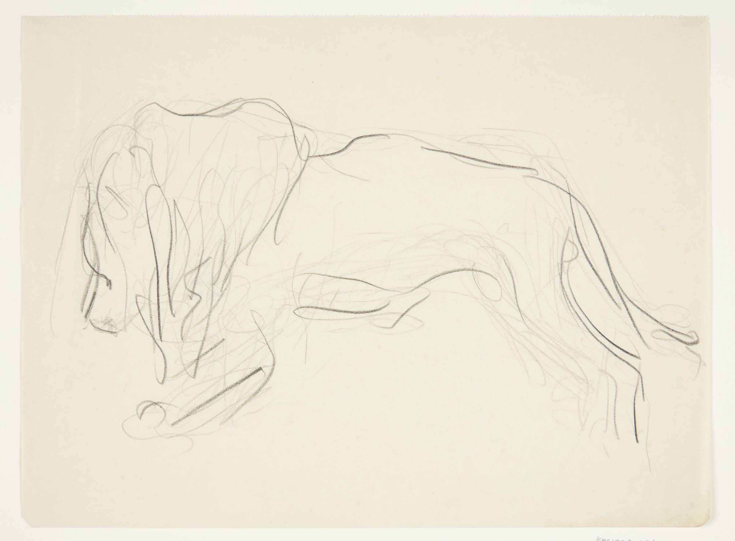 Stående løve i profil, Olivia Holm-Møller, 1890-1946