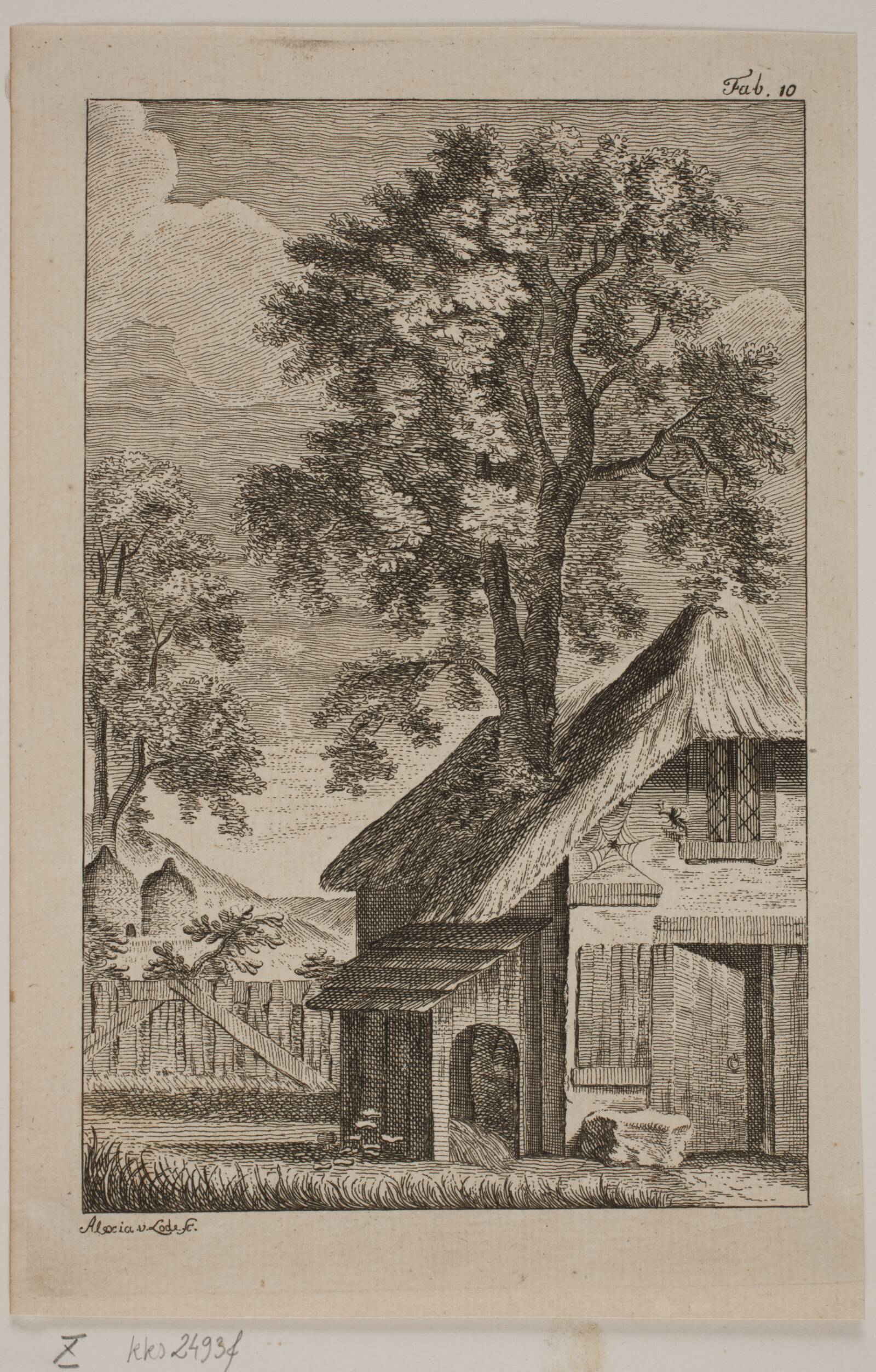 Edderkoppen og Bien, Alexia de Lode, 1760