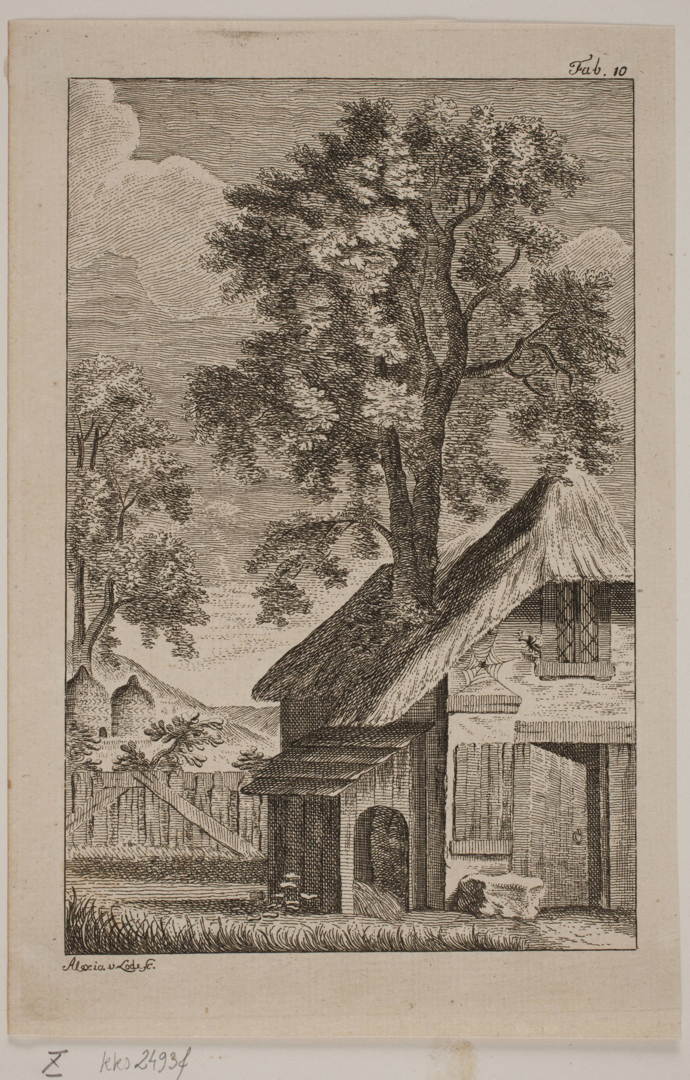 Edderkoppen og Bien, Alexia de Lode, 1760