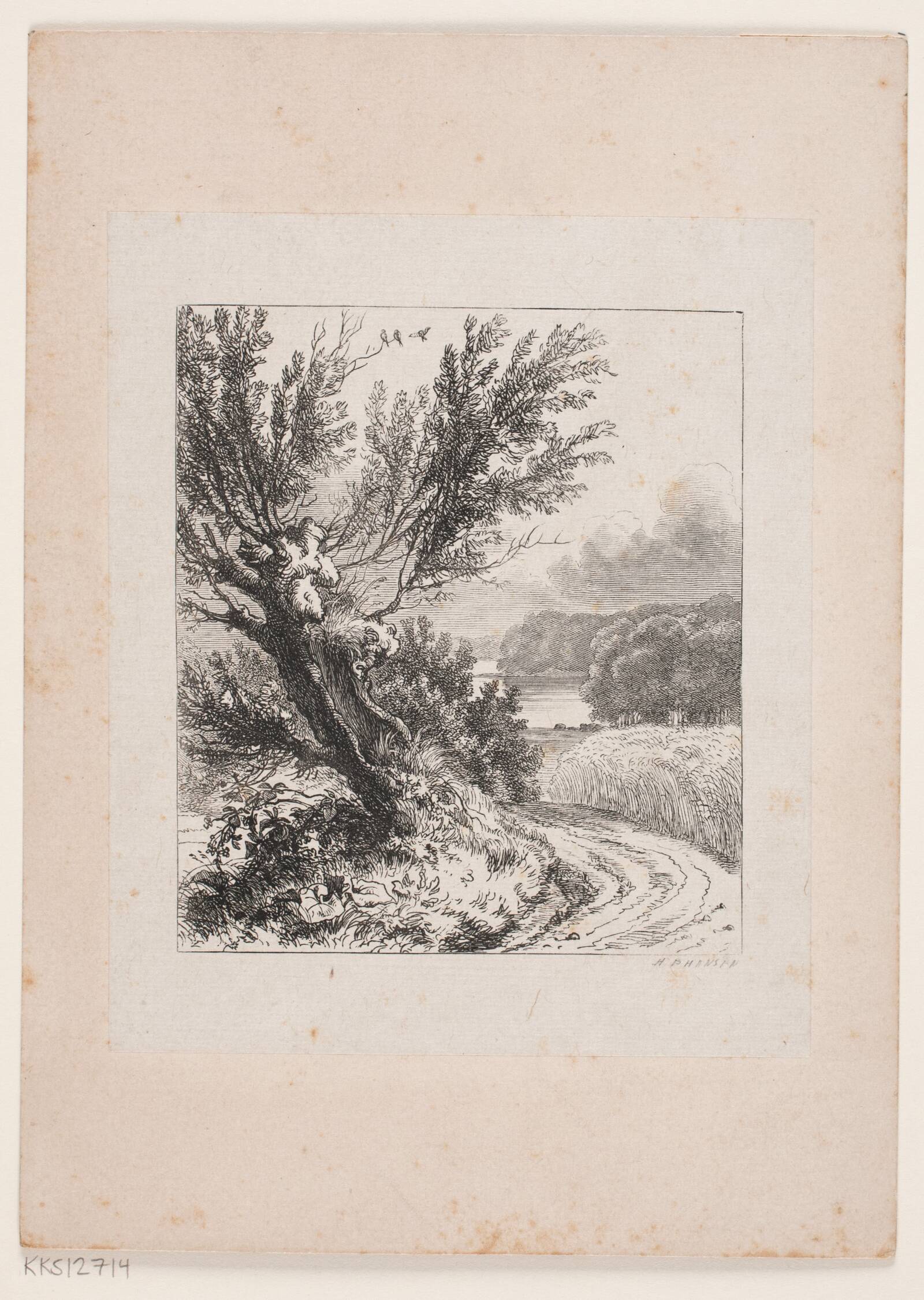 Piletræ ved en Markvej, H.P. Hansen, 1829-1899