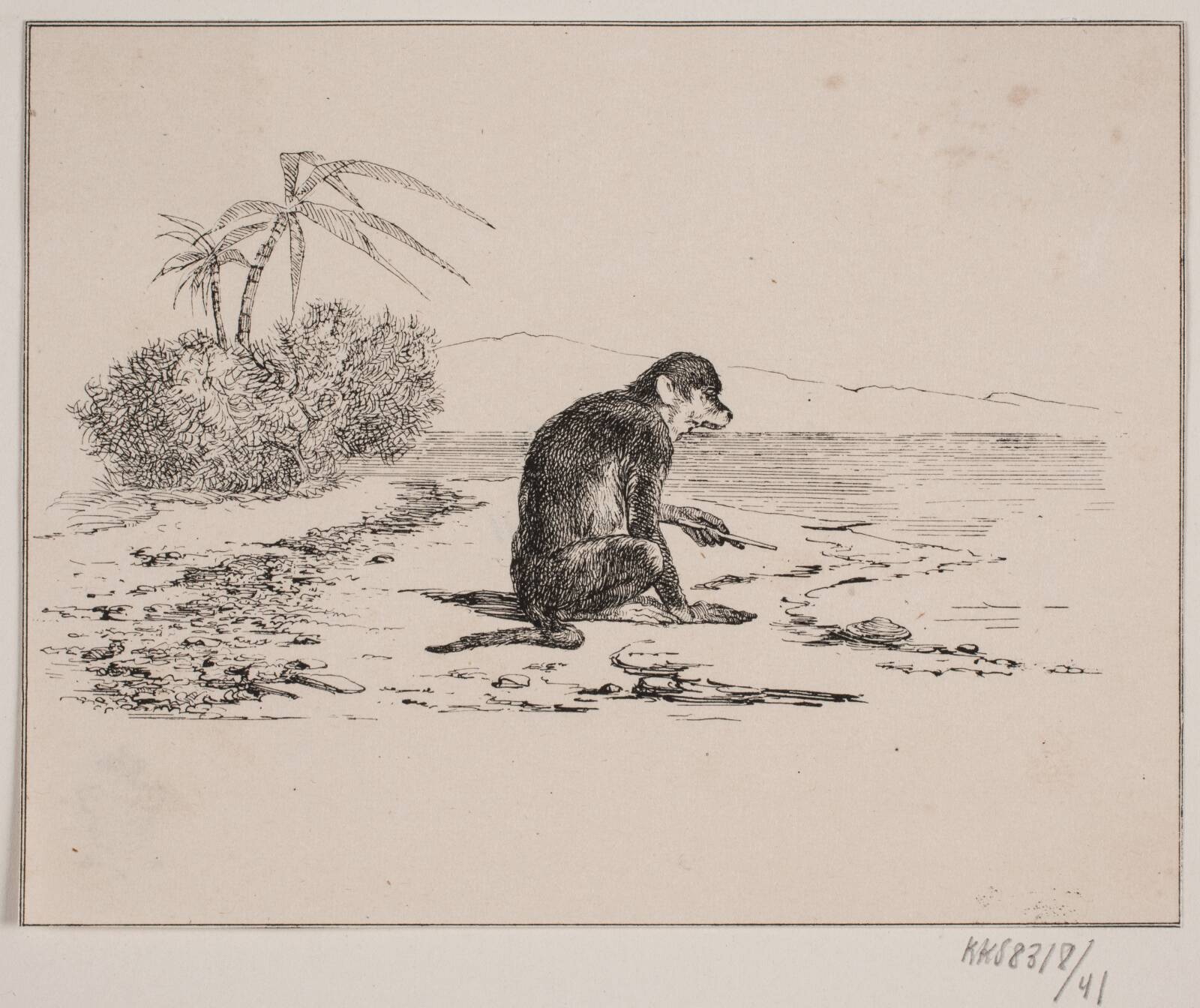 Abekatten, Adolph Kittendorff, 1845