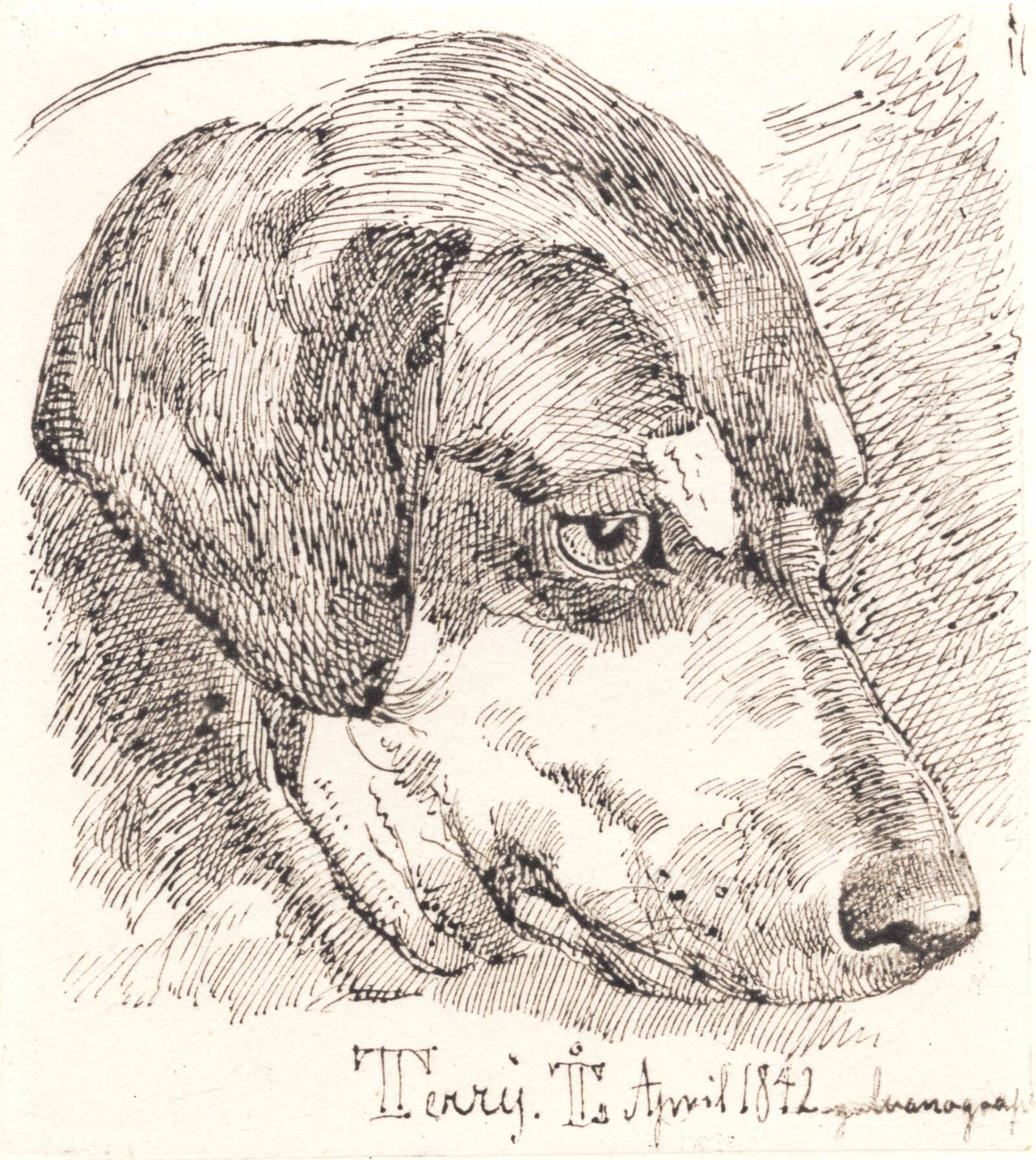 Hundehoved, Terry, Johan Thomas Lundbye, 1842