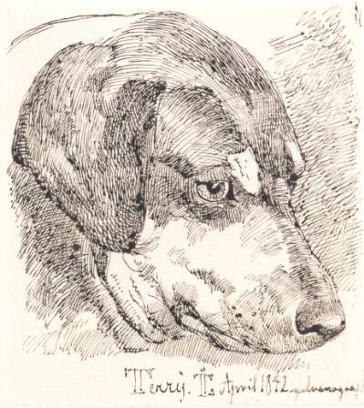 Hundehoved, Terry