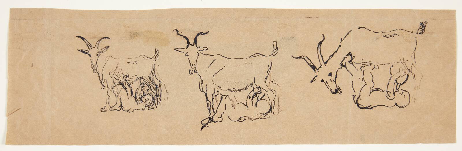 Zeusbarnet dier geden. 3 studier., by Anne Marie Carl Nielsen, 1878-1940
