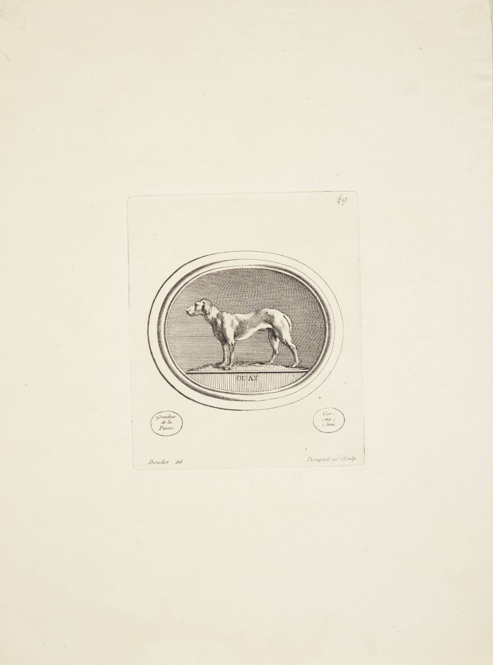 Jagthund, Madame de Pompadour, 1753-1757