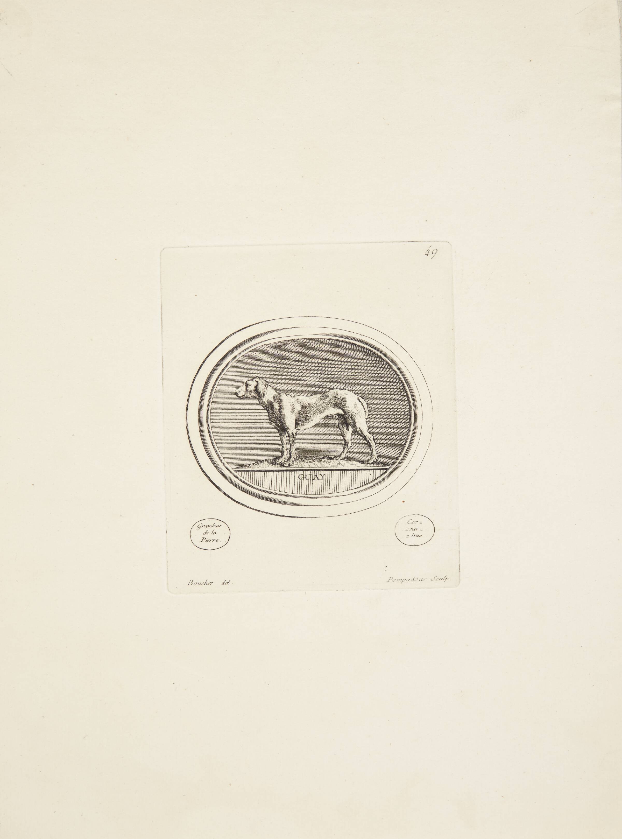 Jagthund, Madame de Pompadour, 1753-1757