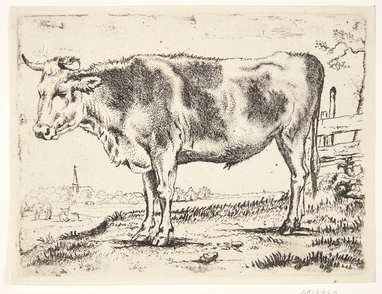 Stående stud, vendt mod venstre, Ubekendt, 1640-1677