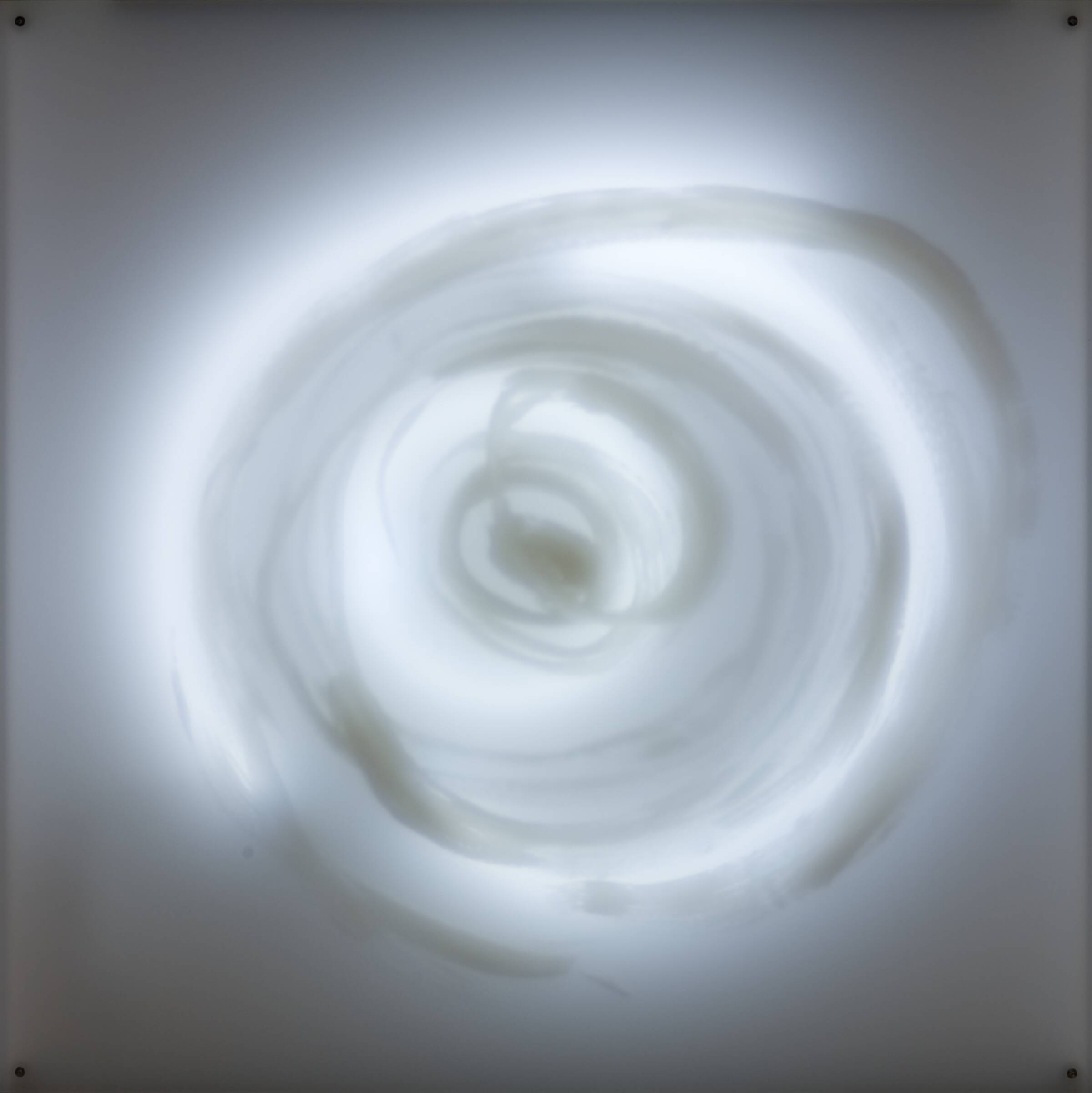 Circum Blanca, Gun Gordillo, 2006