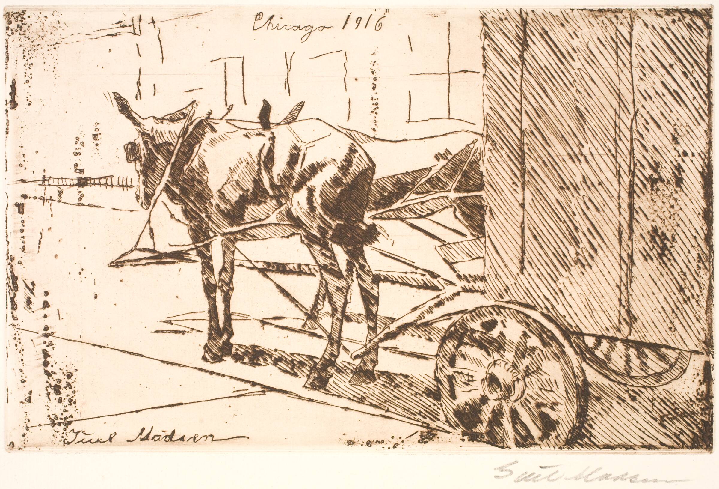 Køretøj med muldyr, Christian Juel Madsen, 1916