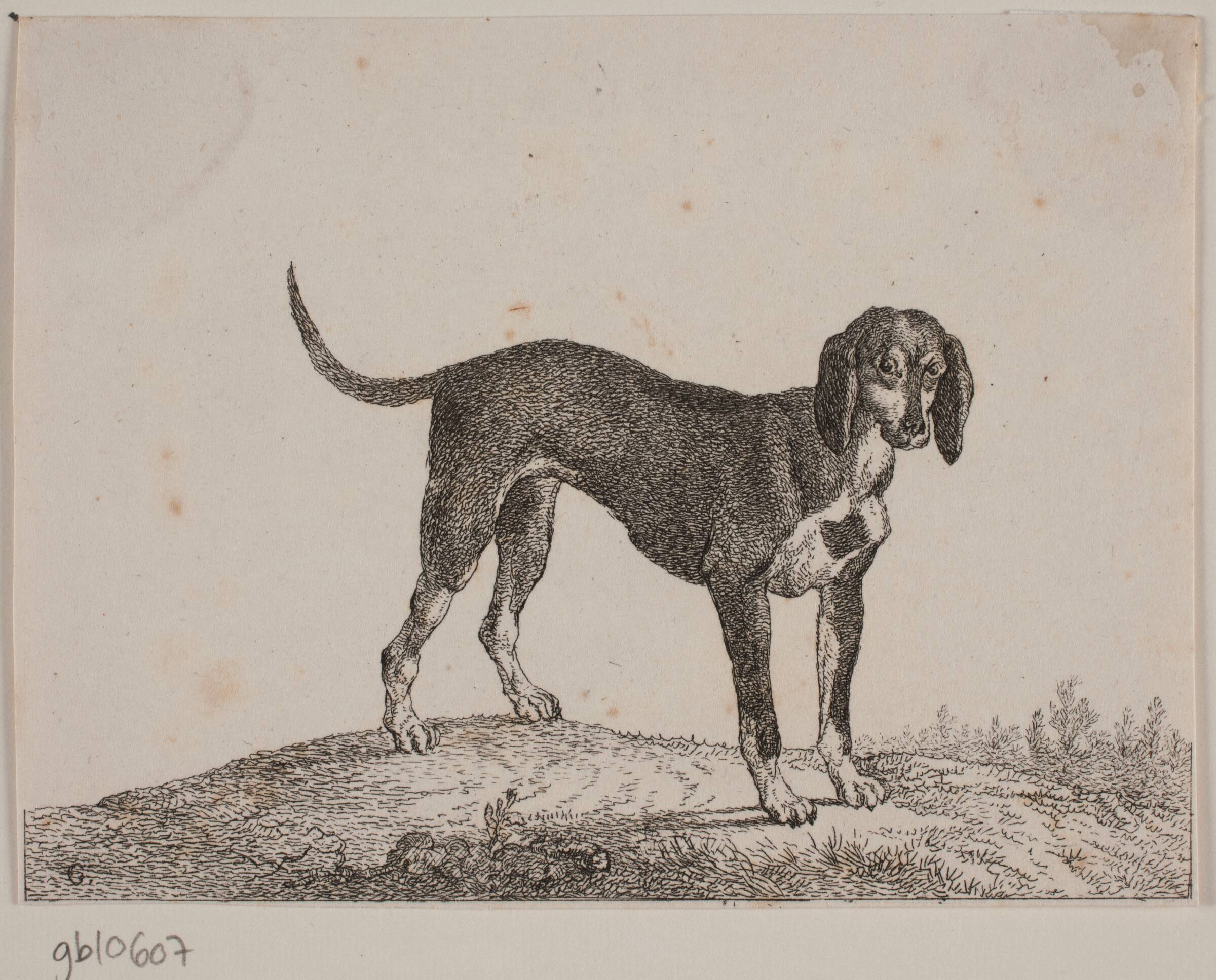 Wekop, Christian David Gebauer, 1821