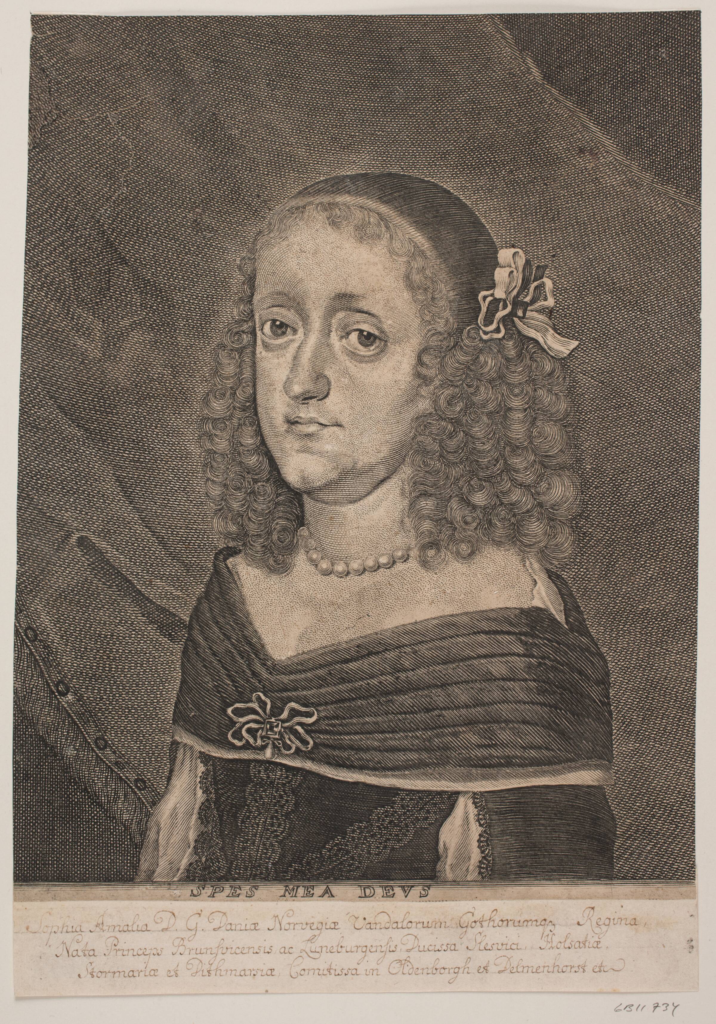 Sophie Amalie, Albert Haelwegh, 1655-1659