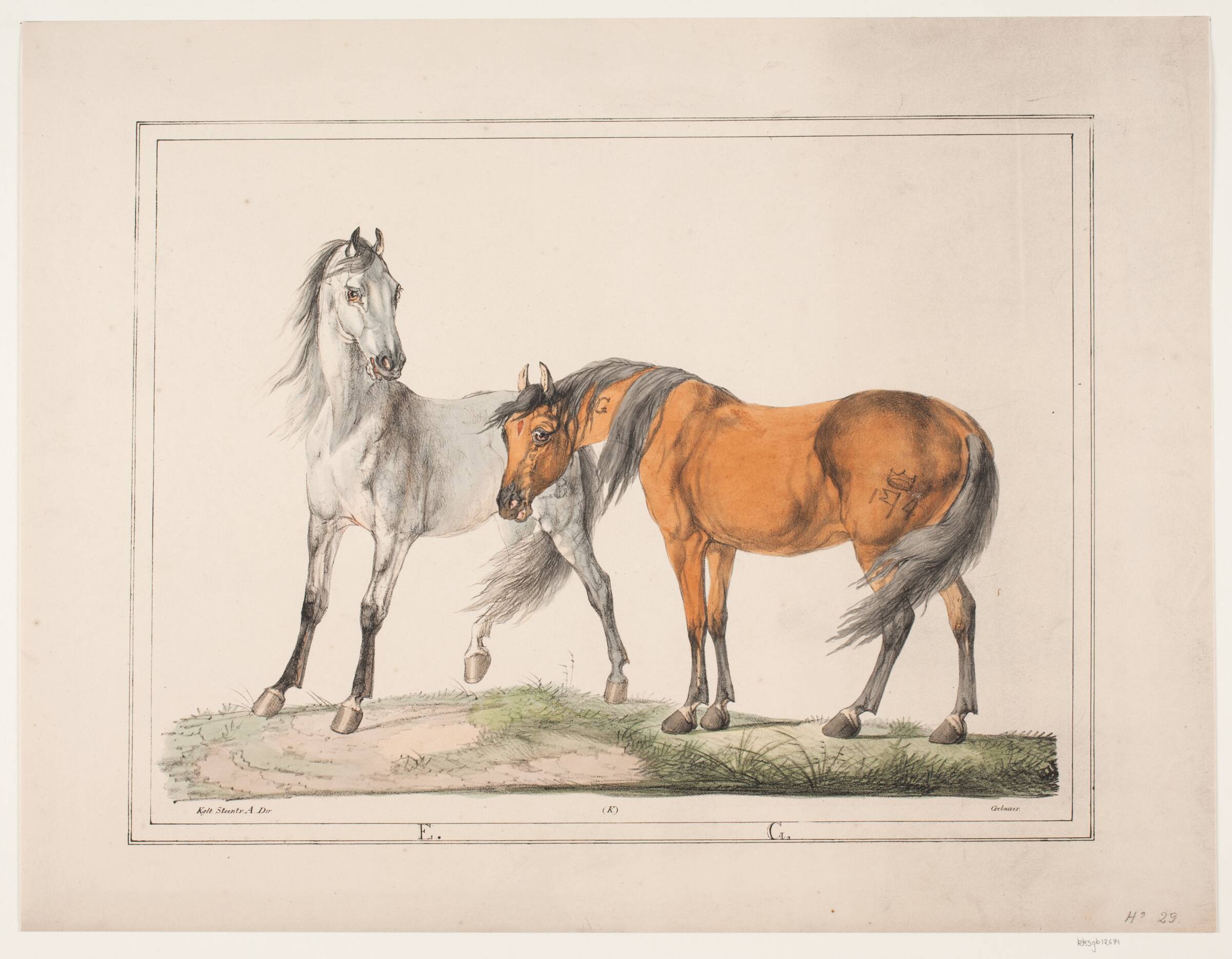 Hestene E & G, Christian David Gebauer, 1822