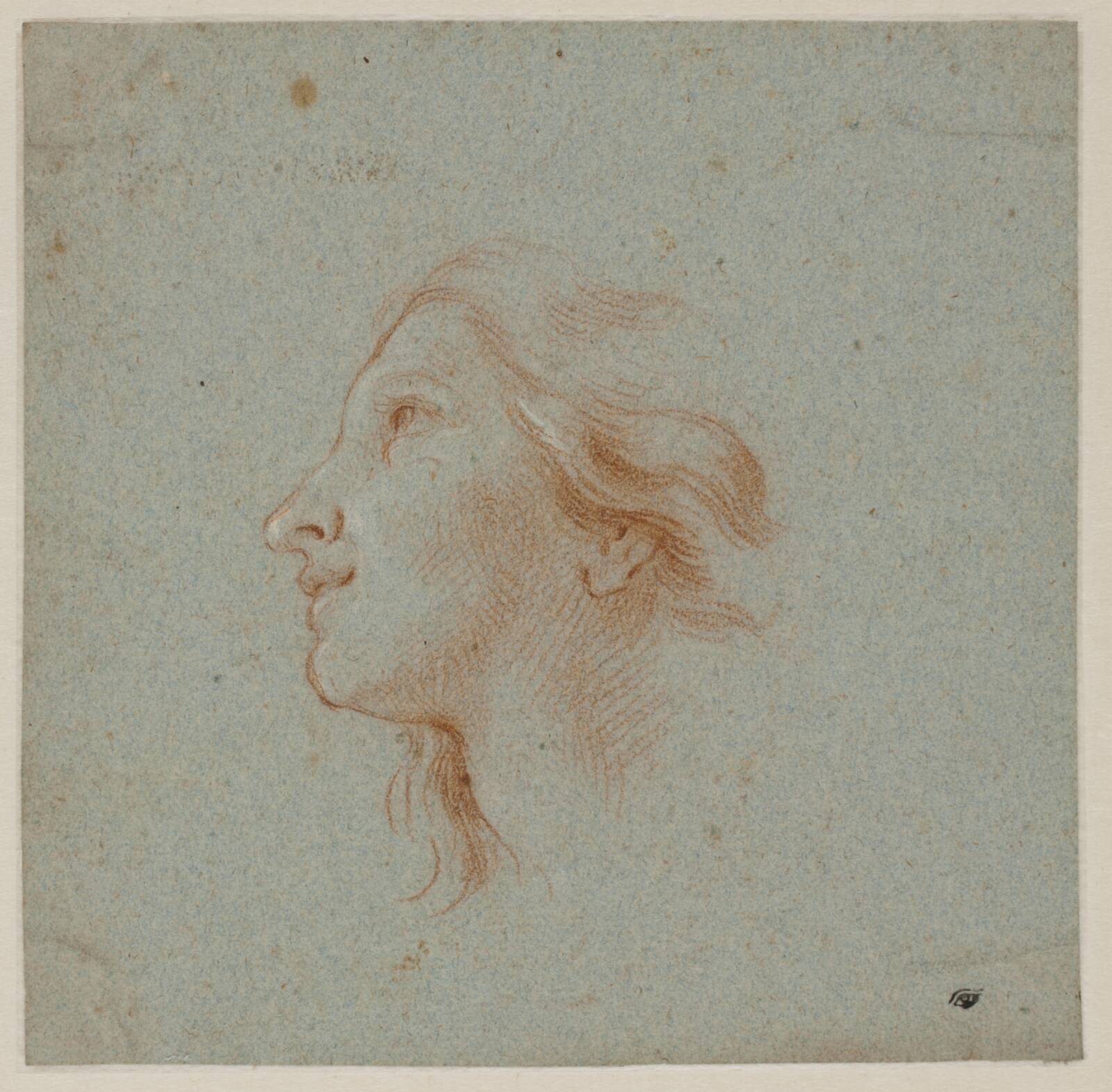 Hoved af ung kvinde, der kigger opad, Ubekendt, 1650-1699