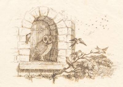 Illustration til "Halvhundrede Fabler for Børn" af Hey