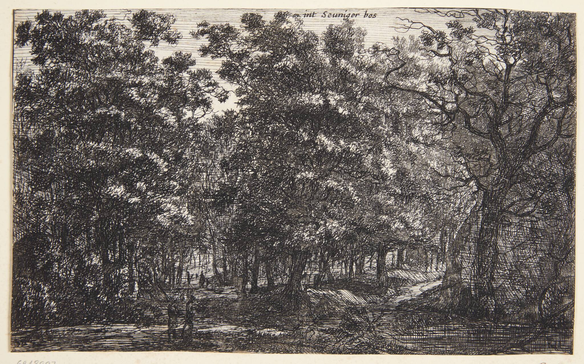 Skovlandskab, Seuniger