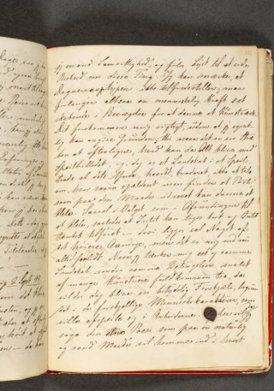 Dagbog. Side 121