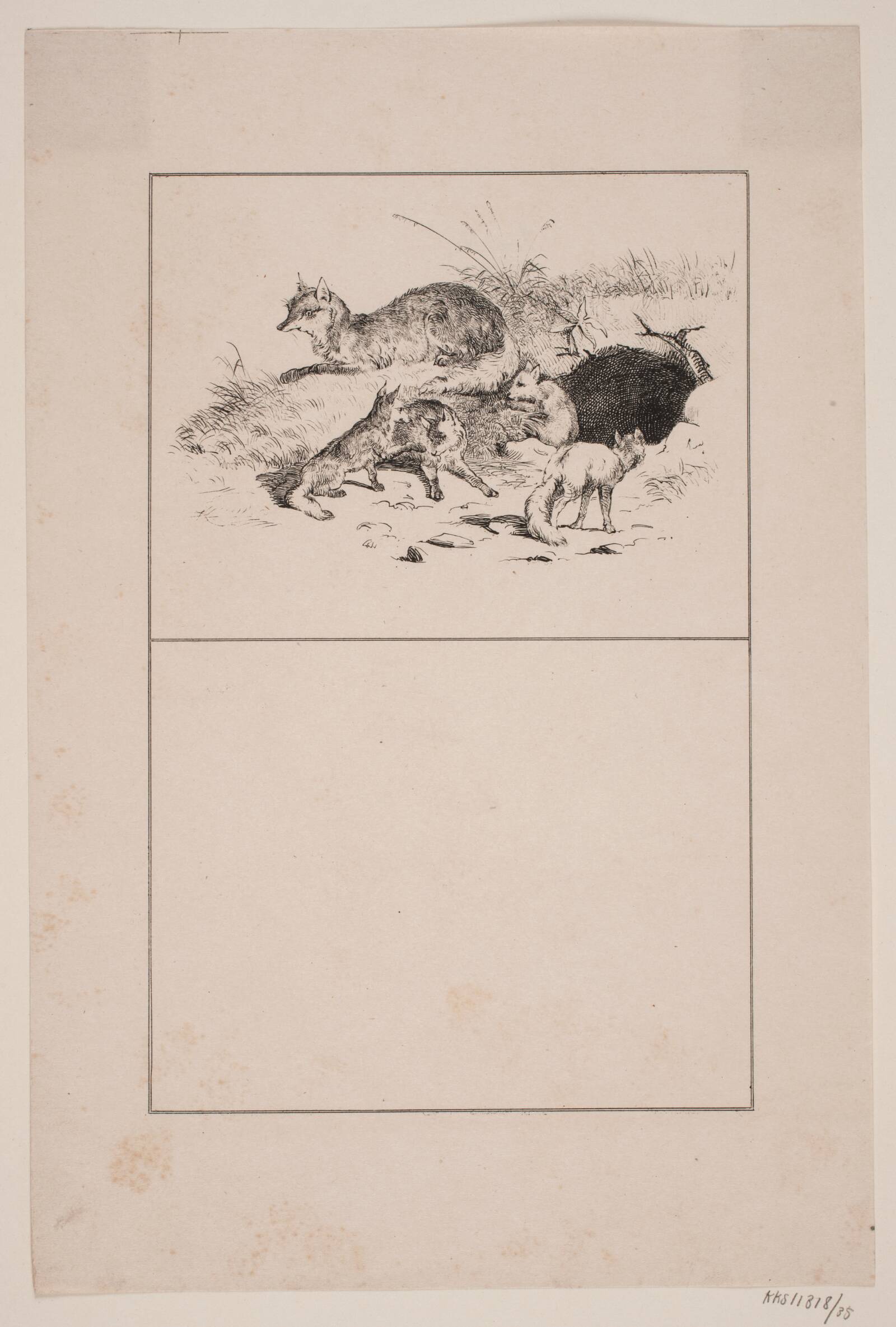 Ræven, Adolph Kittendorff, 1845