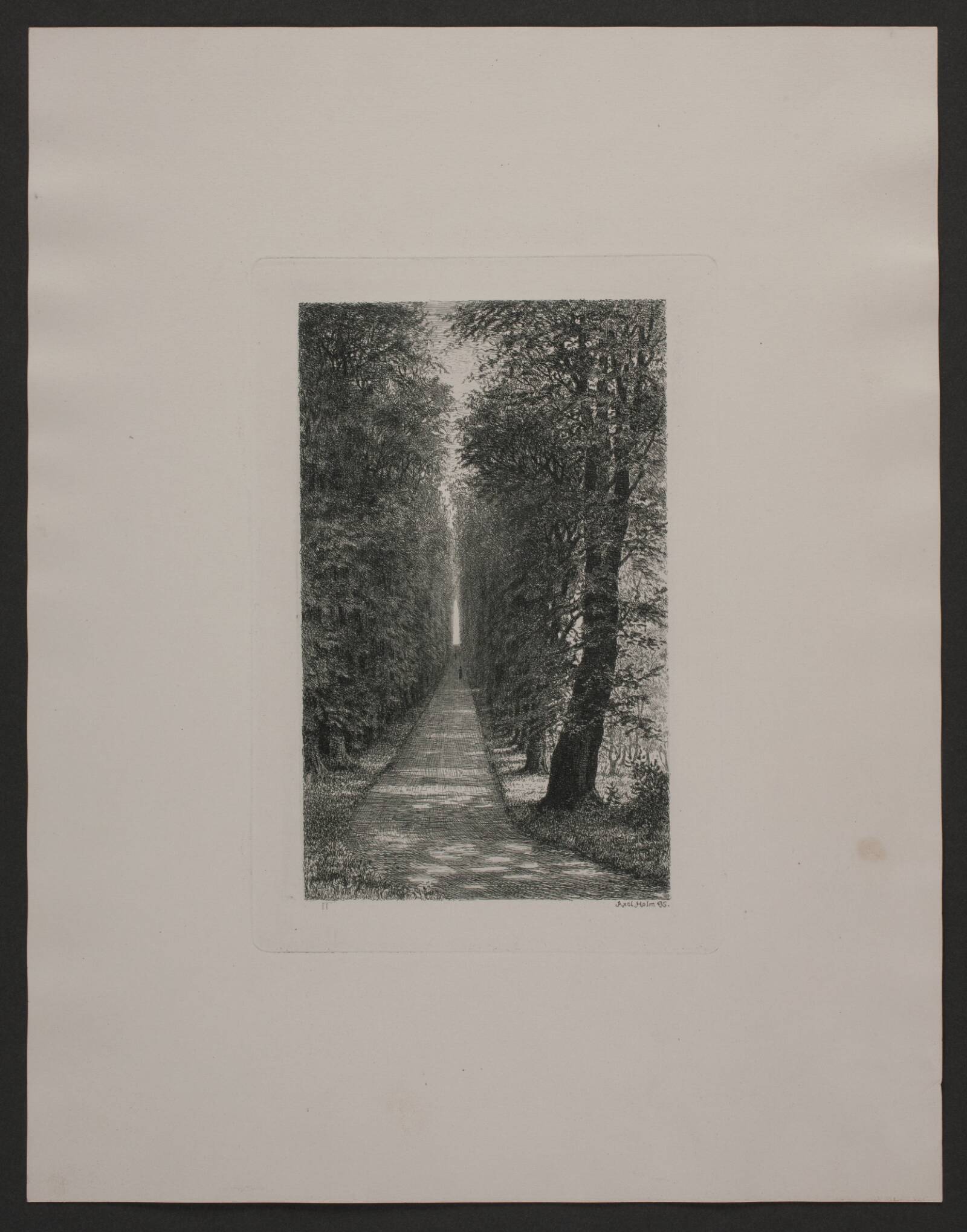 Sukkenes allé, Axel Holm, 1895