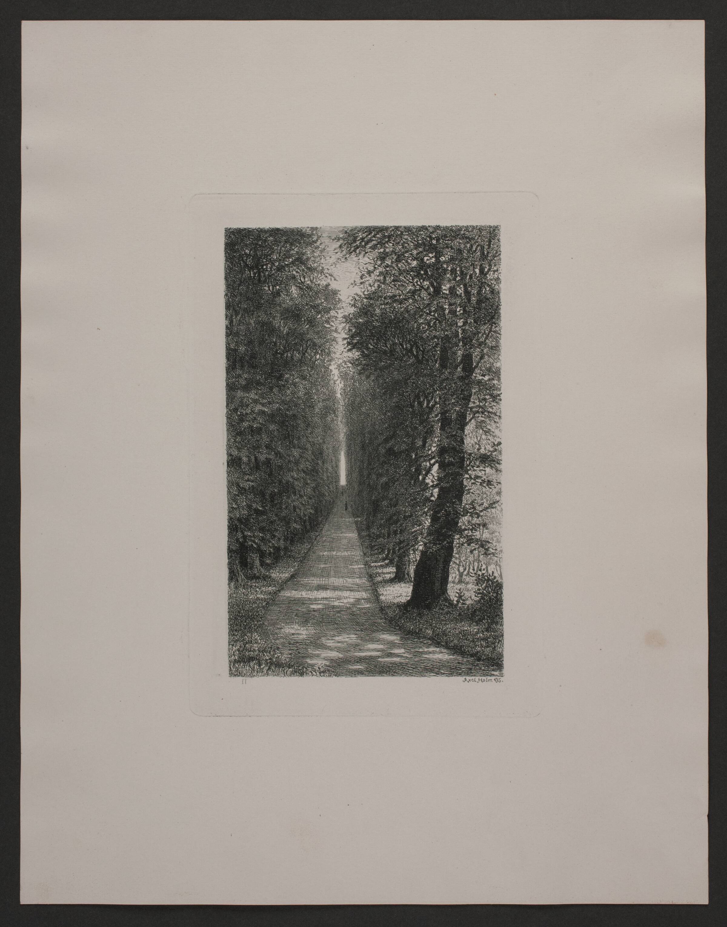 Sukkenes allé, Axel Holm, 1895