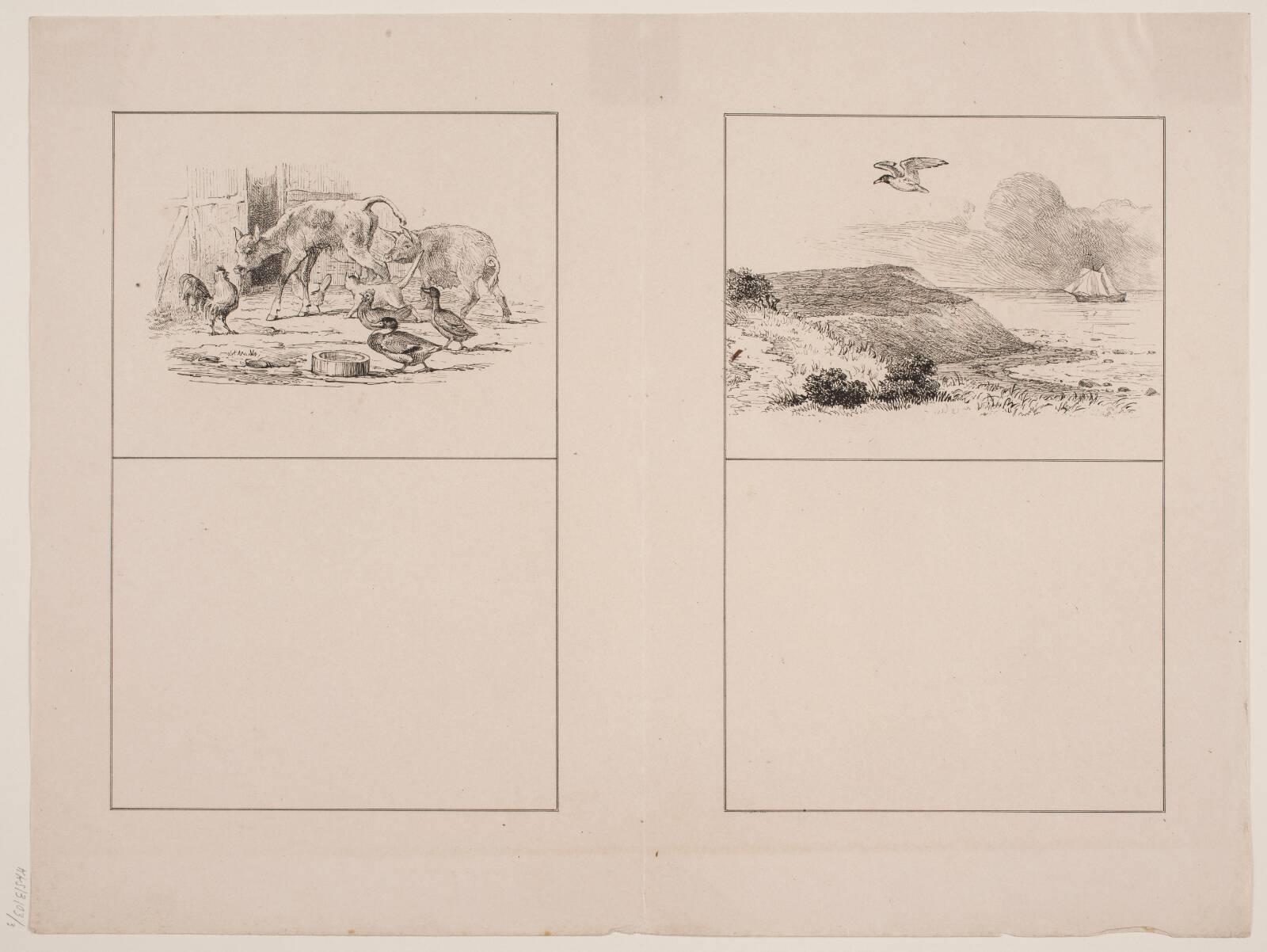 Spædkalven; Mågen, Adolph Kittendorff, 1845