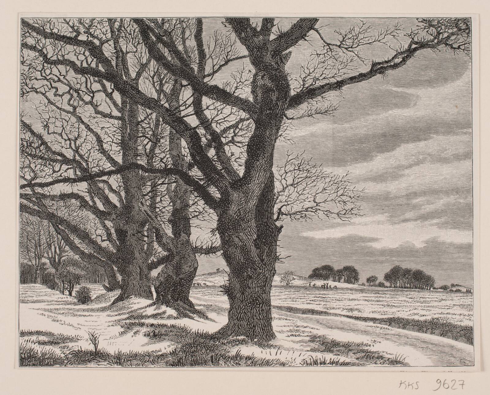 Gamle ege ved Eremitagesletten. Vinterdag, J. Hildebrand, 1882