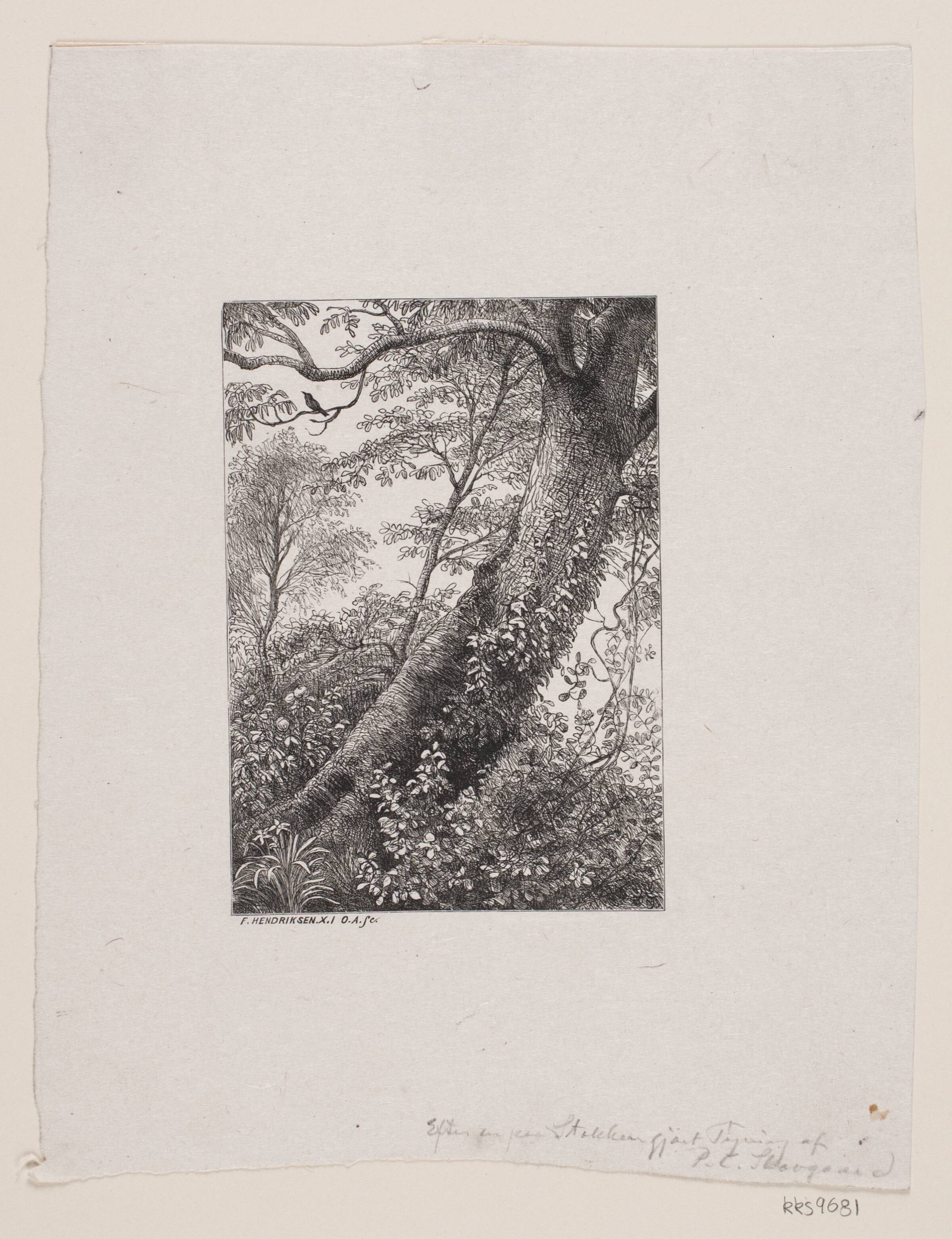 En træstamme, Oscar Andersen, 1848-1907