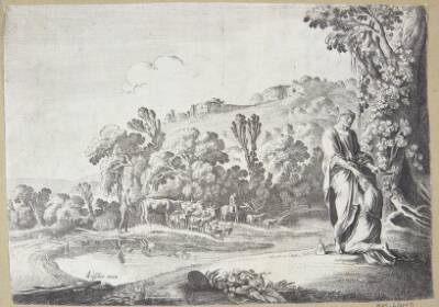 Samuel salver Saul
