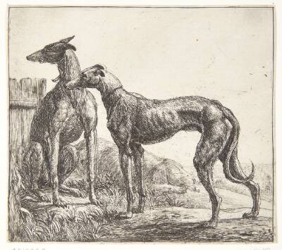 To mynder og en sovende hund