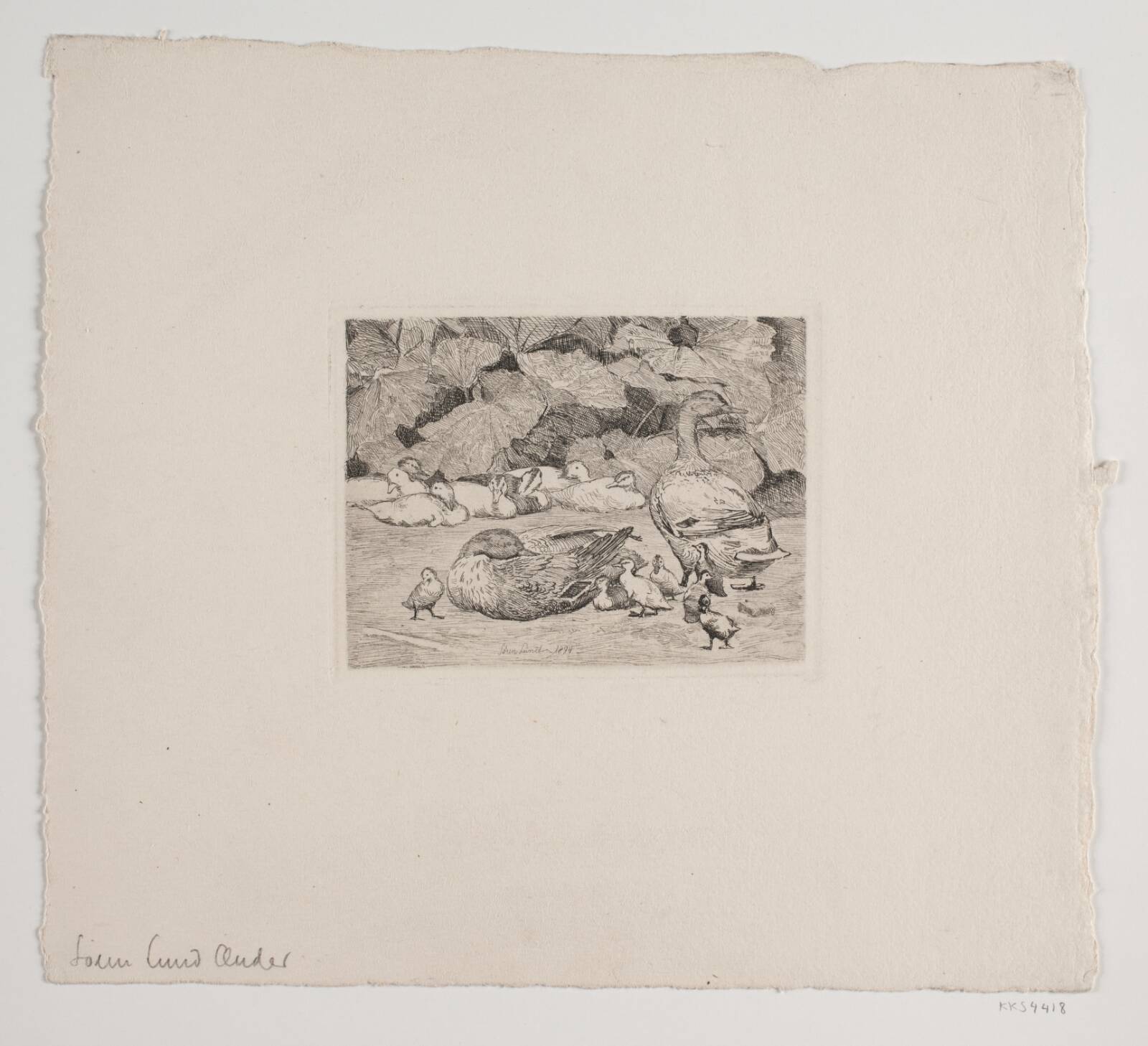 Ænder, Søren Lund, 1894