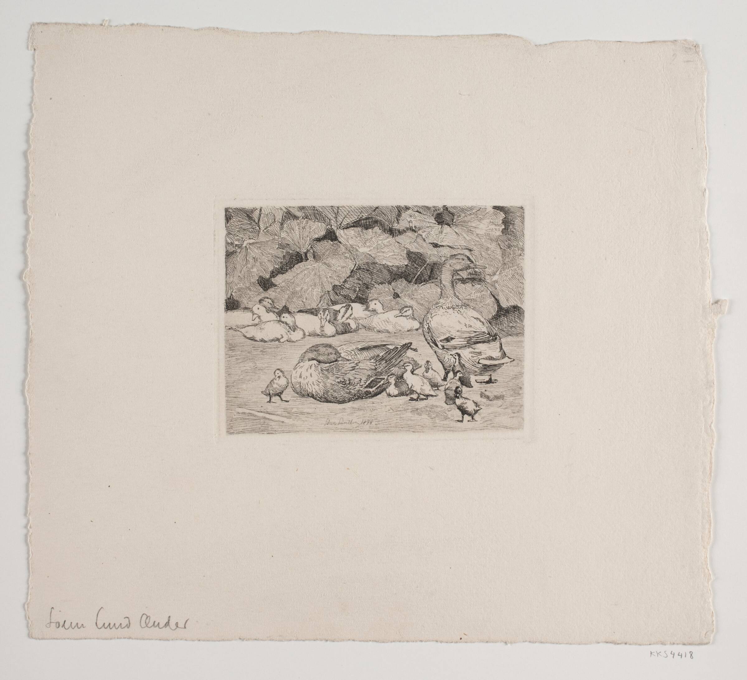 Ænder, Søren Lund, 1894