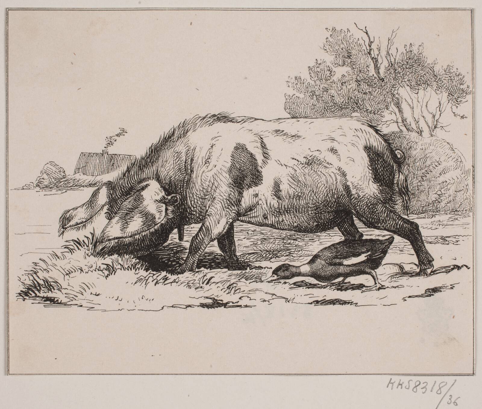 Svinet og anden, Adolph Kittendorff, 1845