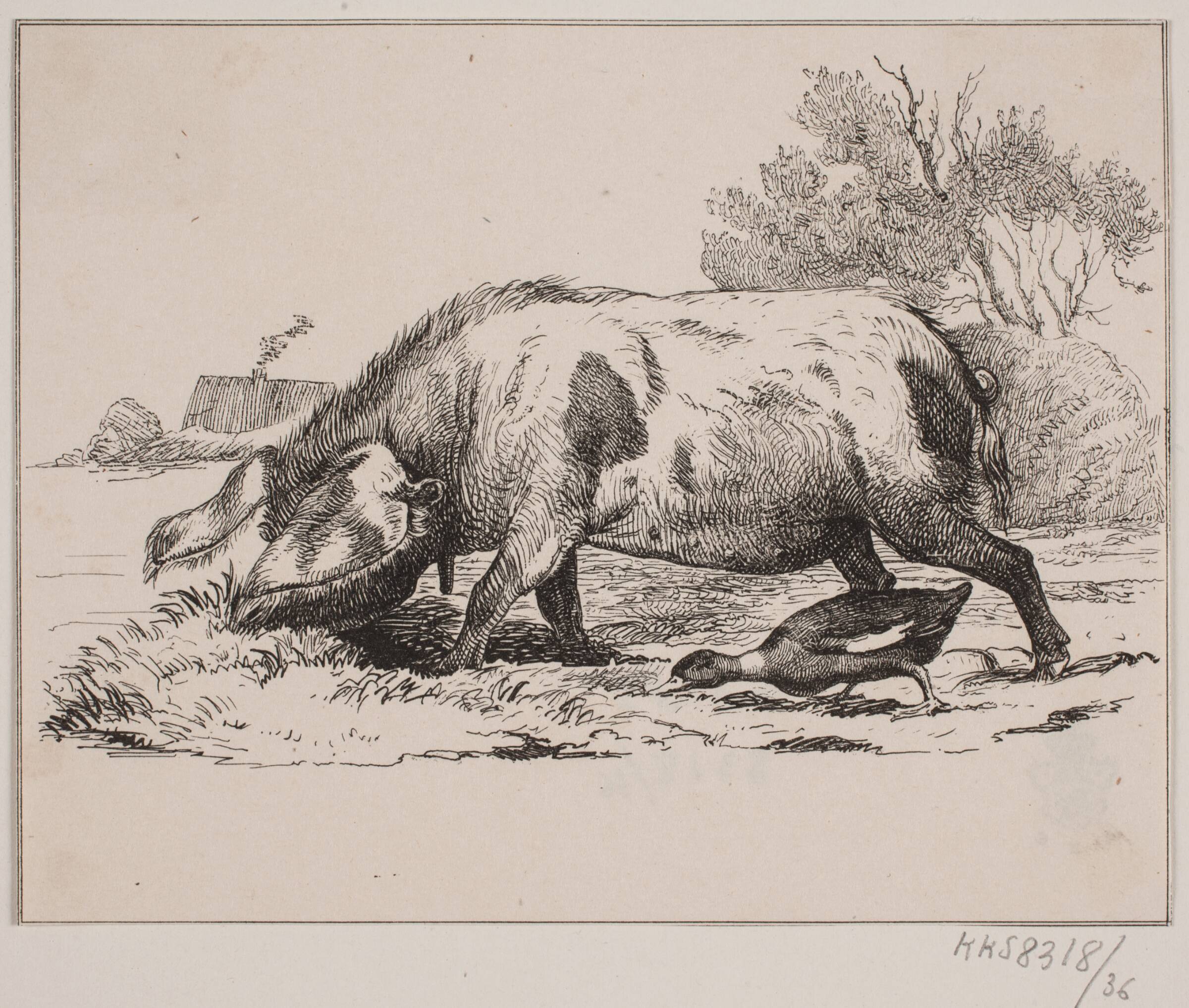 Svinet og anden, Adolph Kittendorff, 1845