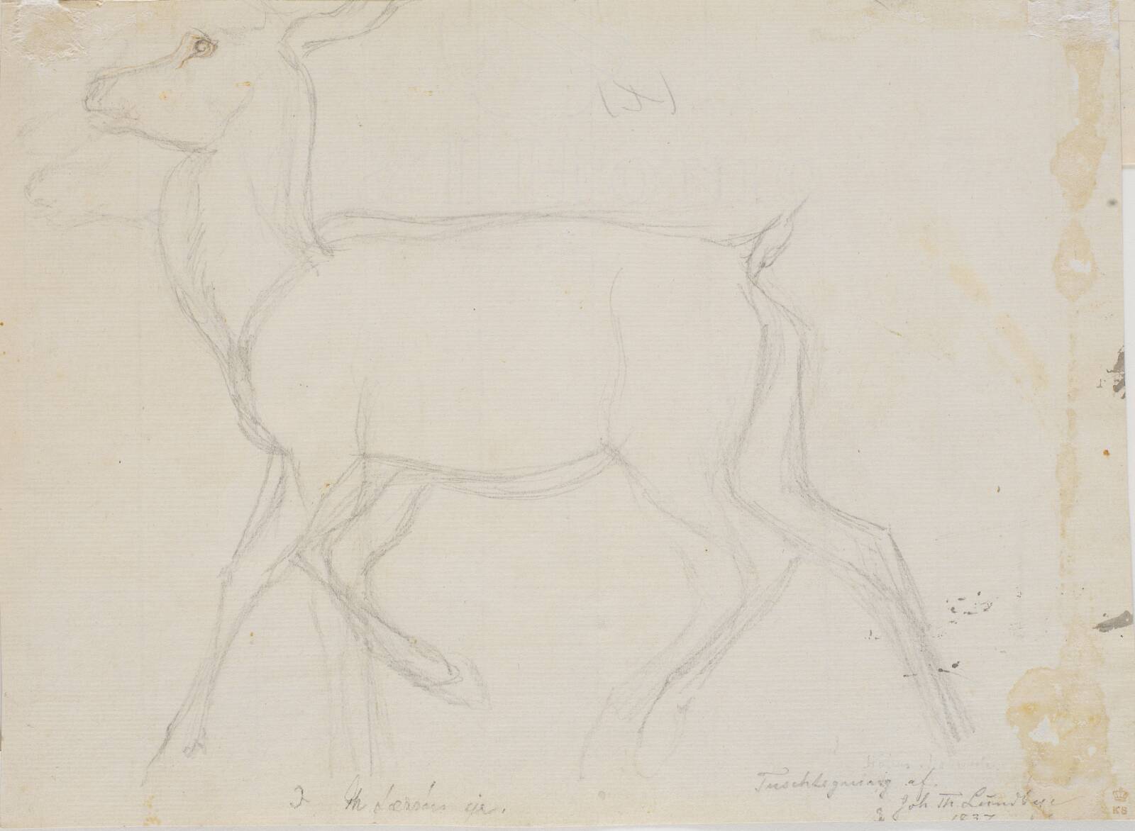 Rids af en kronhjort, Johan Thomas Lundbye, 1837