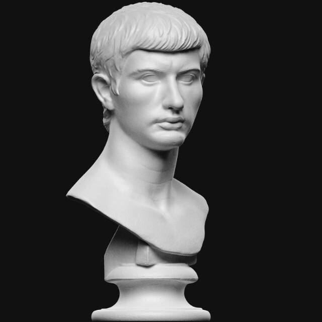 Portrait of an Augustan prince, Marcellus?, formerly identified as Marcus Brutus (85-42 BC) 3D model