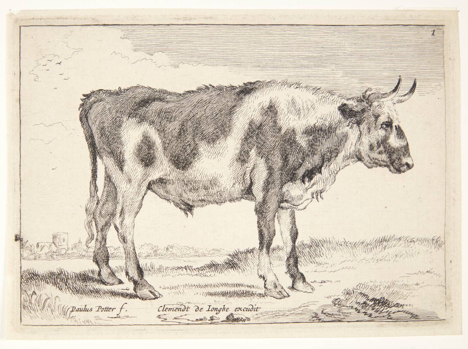Plettet stud, Ubekendt, 1640-1677