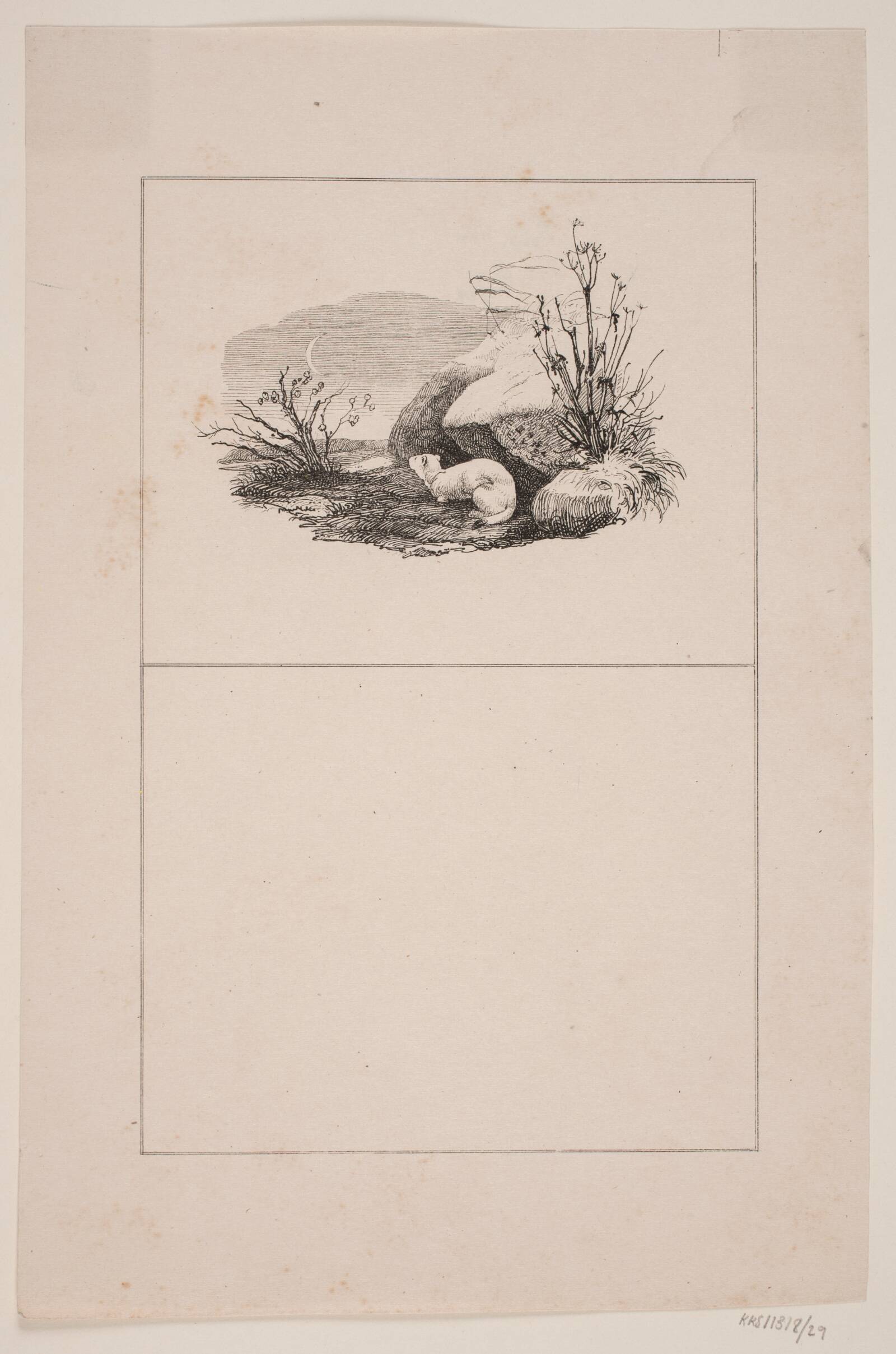 Lækatten, Adolph Kittendorff, 1845