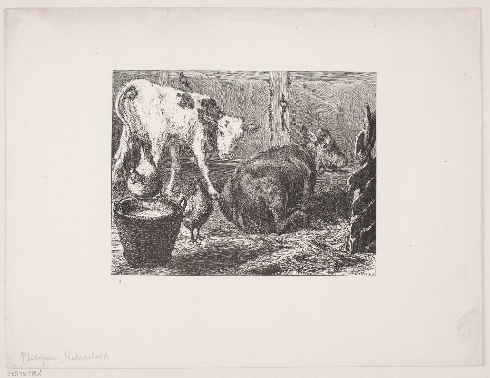 Stald med Kalve, H.P. Hansen, 1829-1899