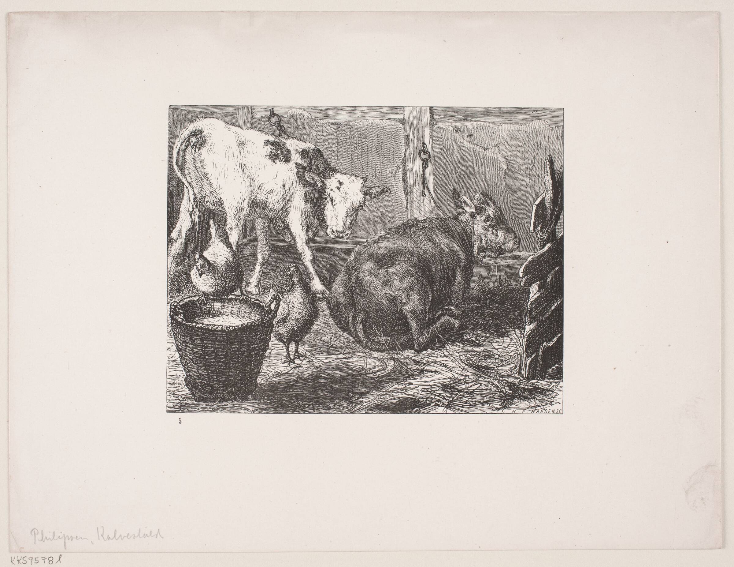 Stald med Kalve, H.P. Hansen, 1829-1899