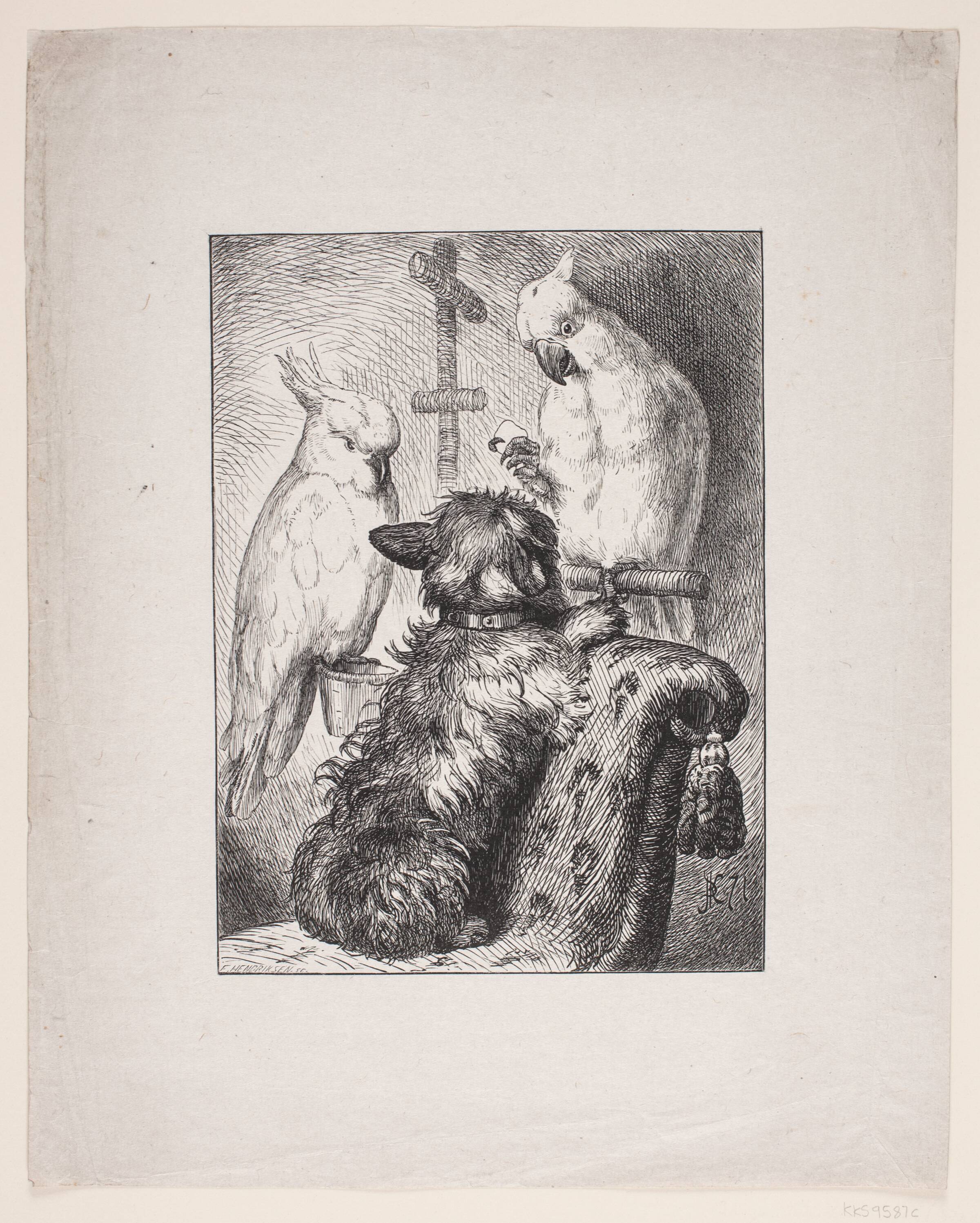 En Hund og to Papegøjer, F. Hendriksen, 1871-1872