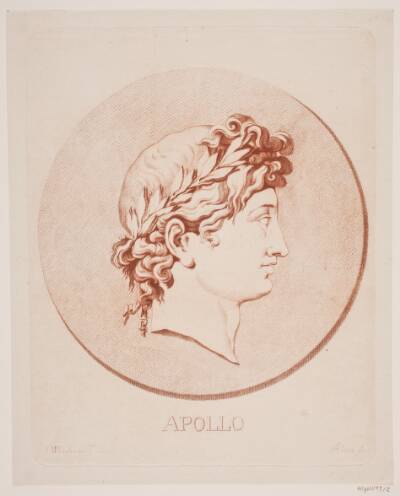 Apollo