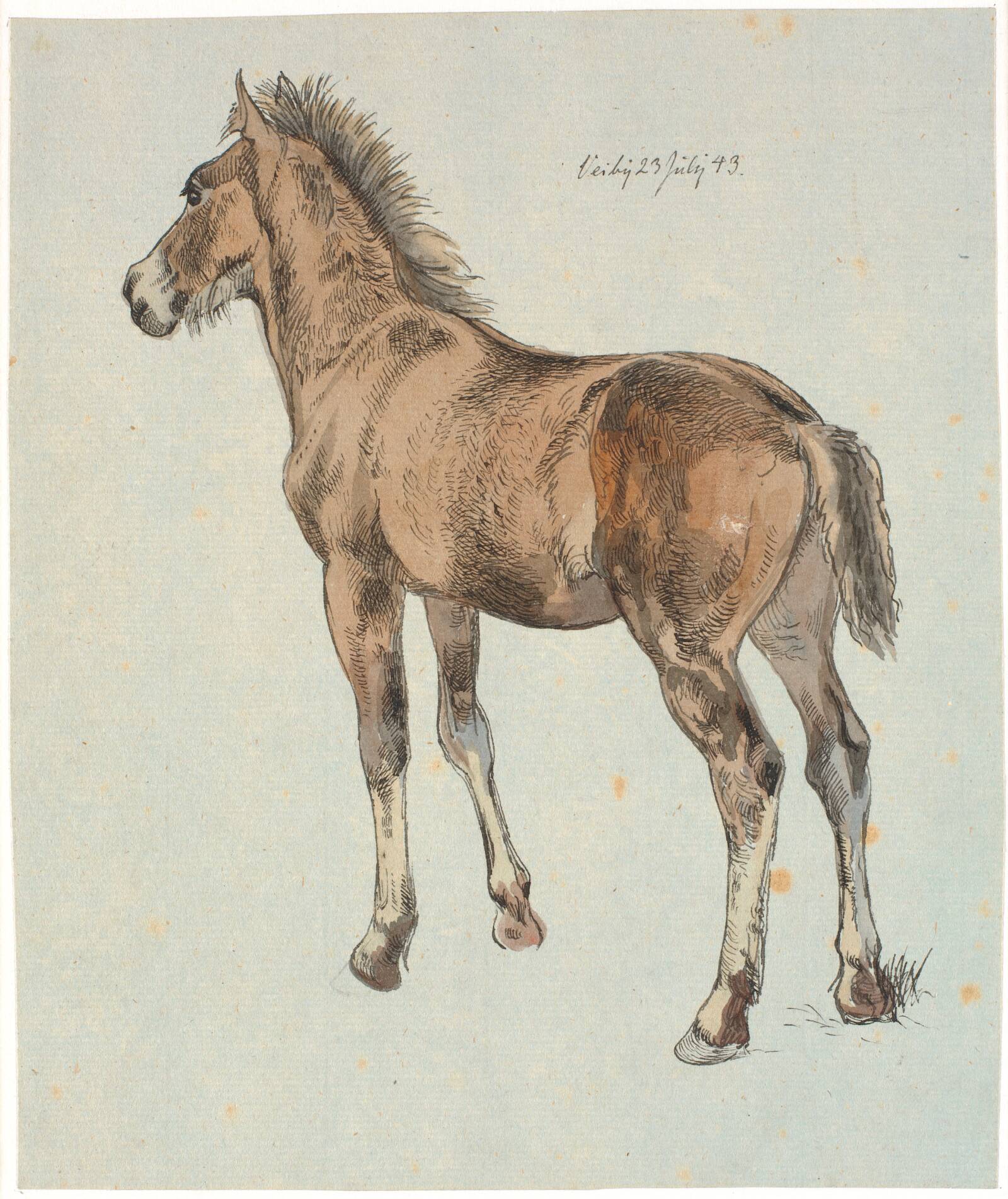 Et stående føl, Johan Thomas Lundbye, 1843
