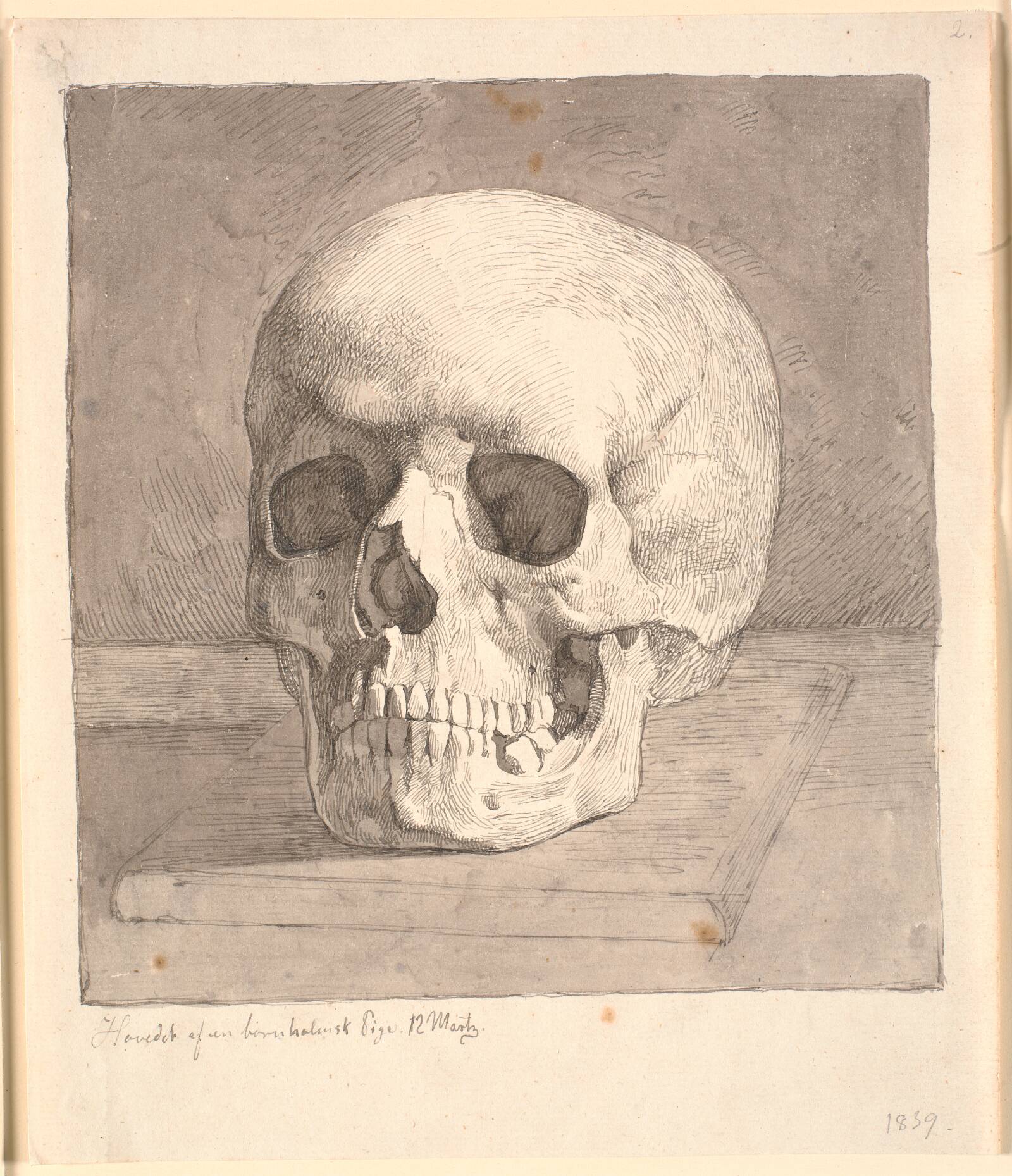Kranium, set forfra, Johan Thomas Lundbye, 1839