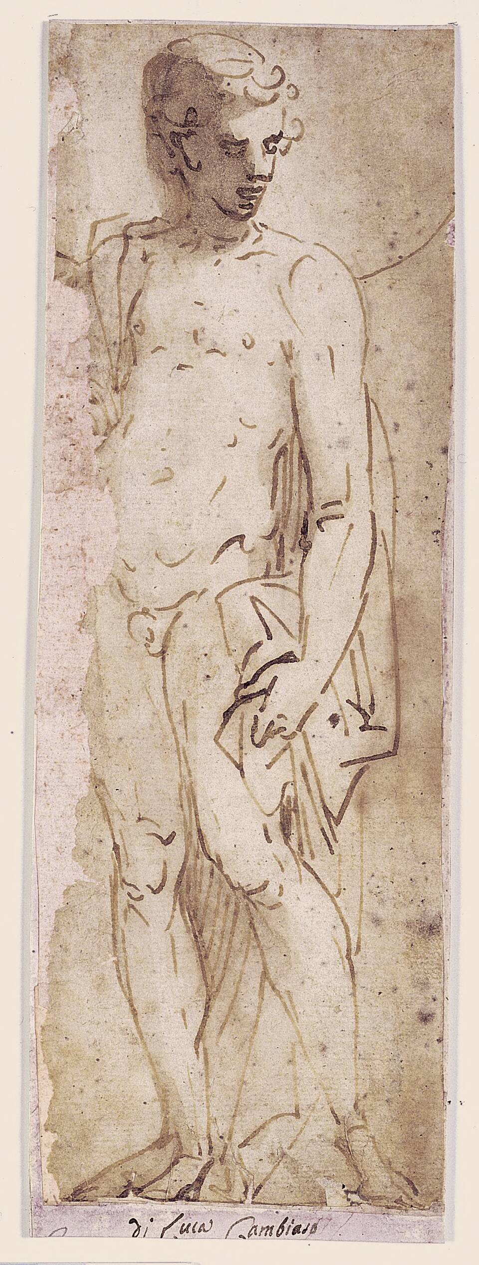 Youth with a Mantle Standing in a Niche