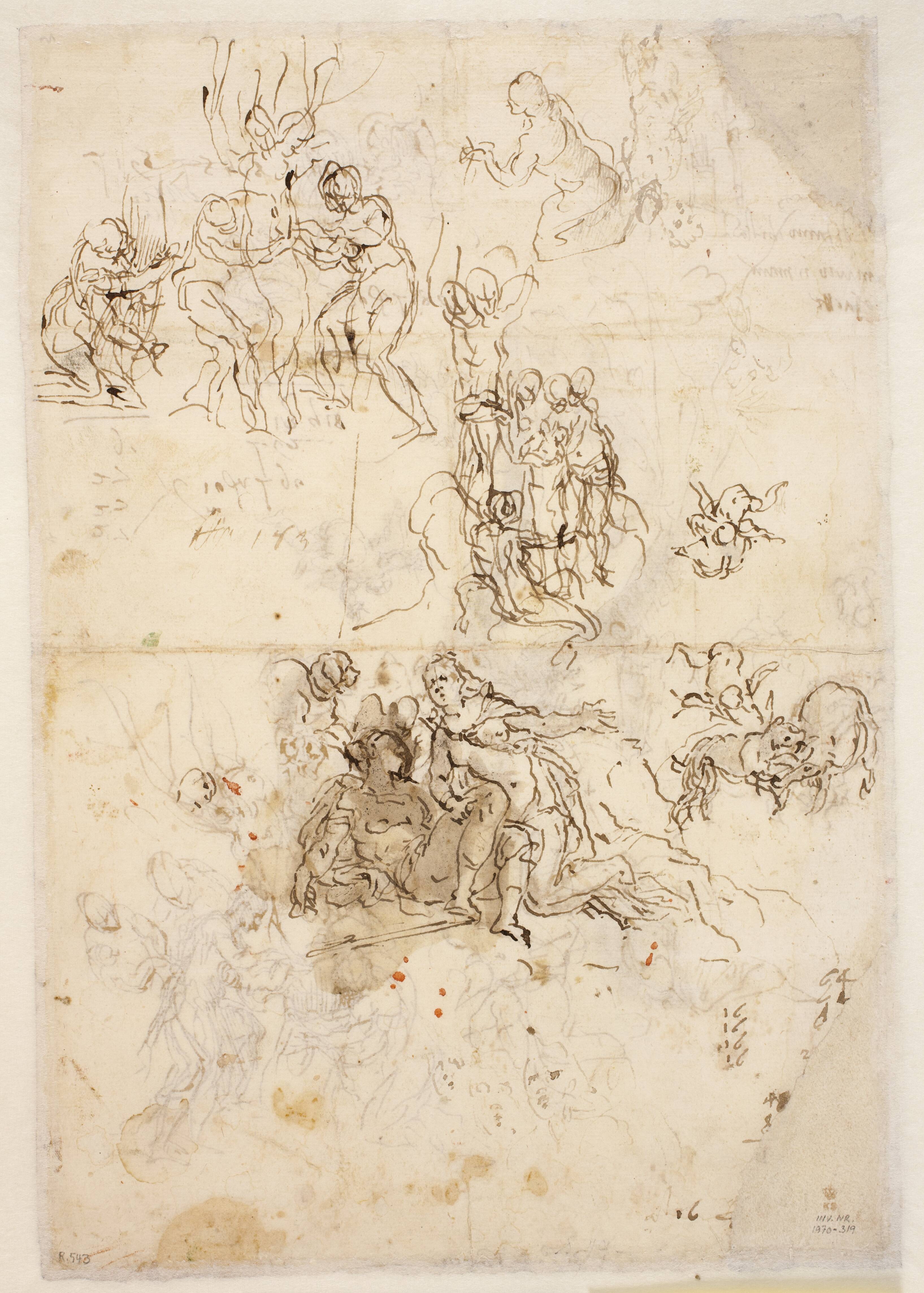 Sketches for the birth and death of Adonis