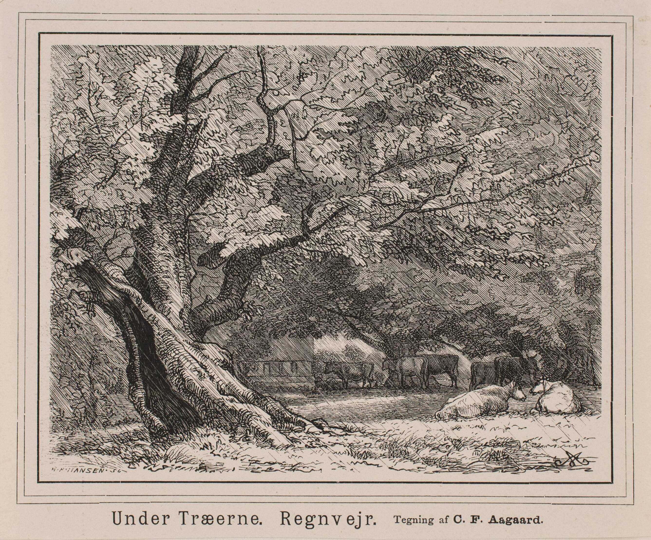Under Træerne. Regnvejr.